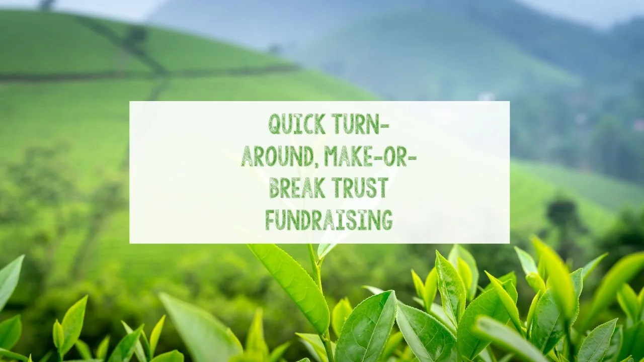Quick turn-around, make-or-break trust fundraising