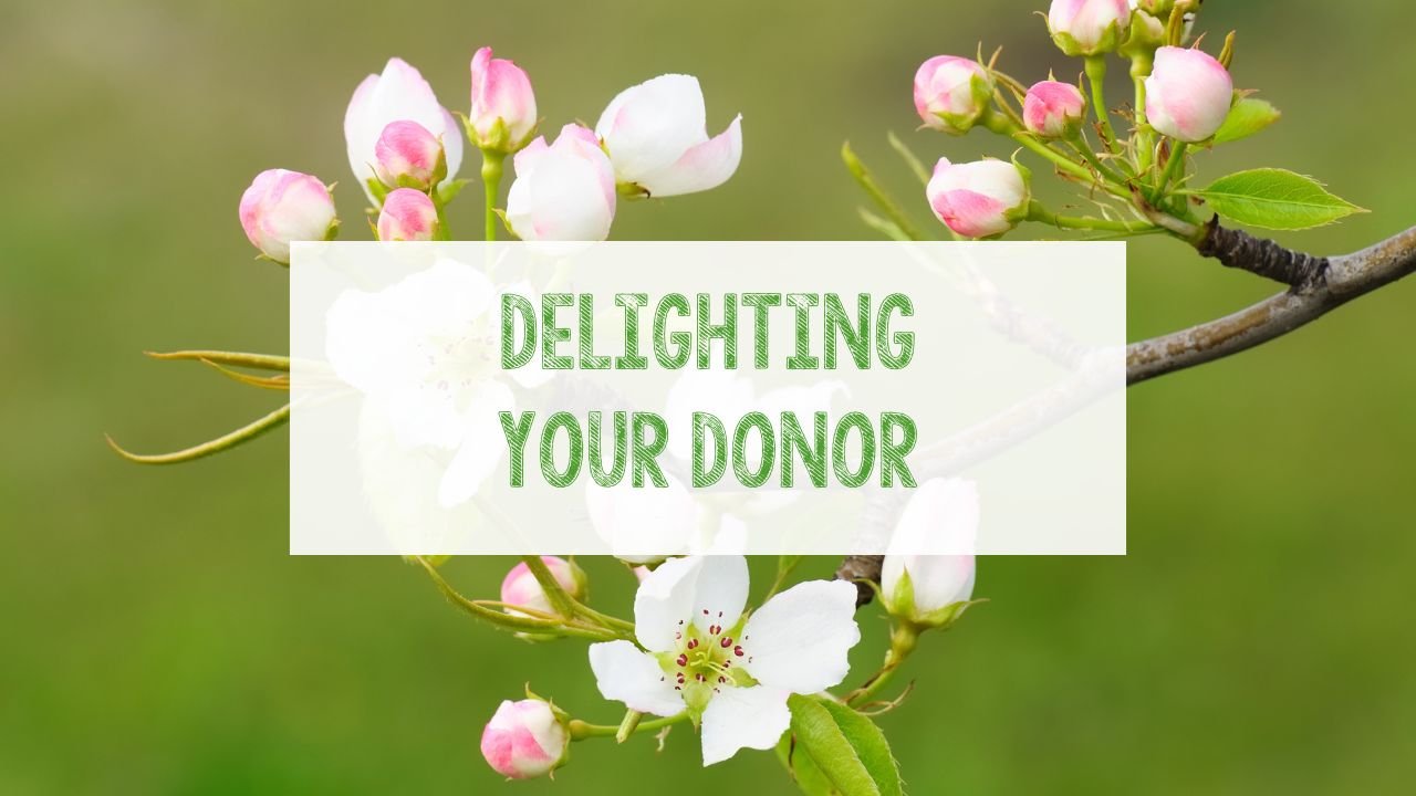 Delighting your Donor