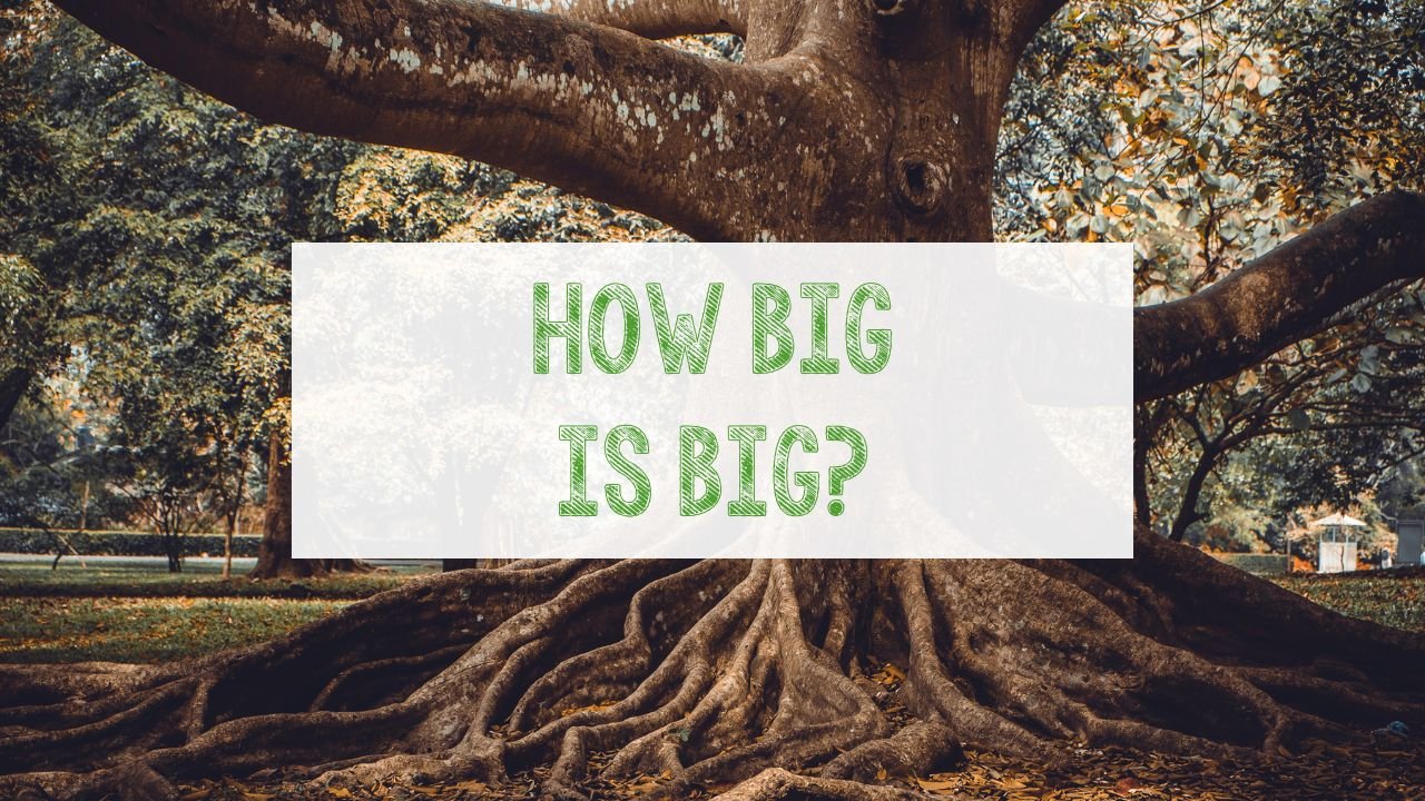 How big is big?