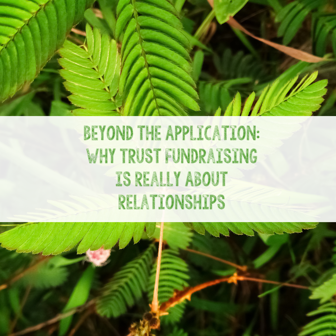 Beyond the Application: Why Trust Fundraising Is Really About Relationships