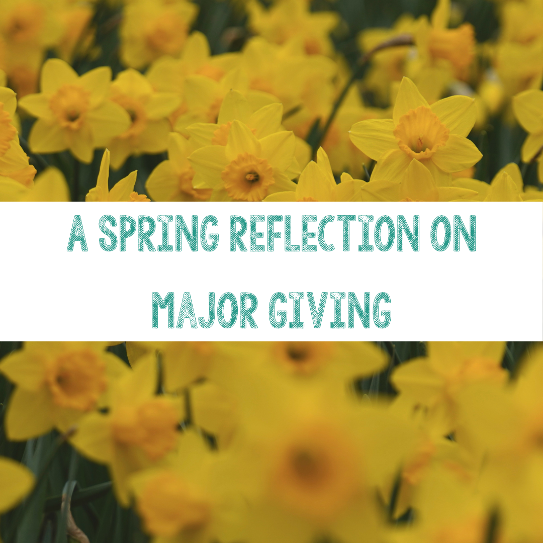 From Daffodils to Donors: A Spring Reflection on Major Giving&nbsp;
