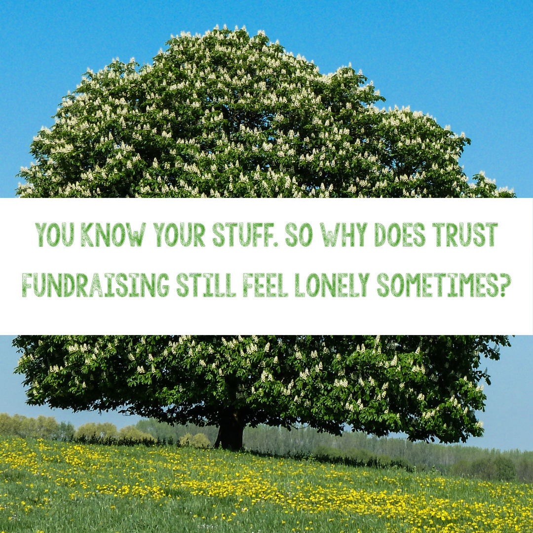 You Know Your Stuff. So Why Does Trust Fundraising Still Feel Lonely Sometimes?