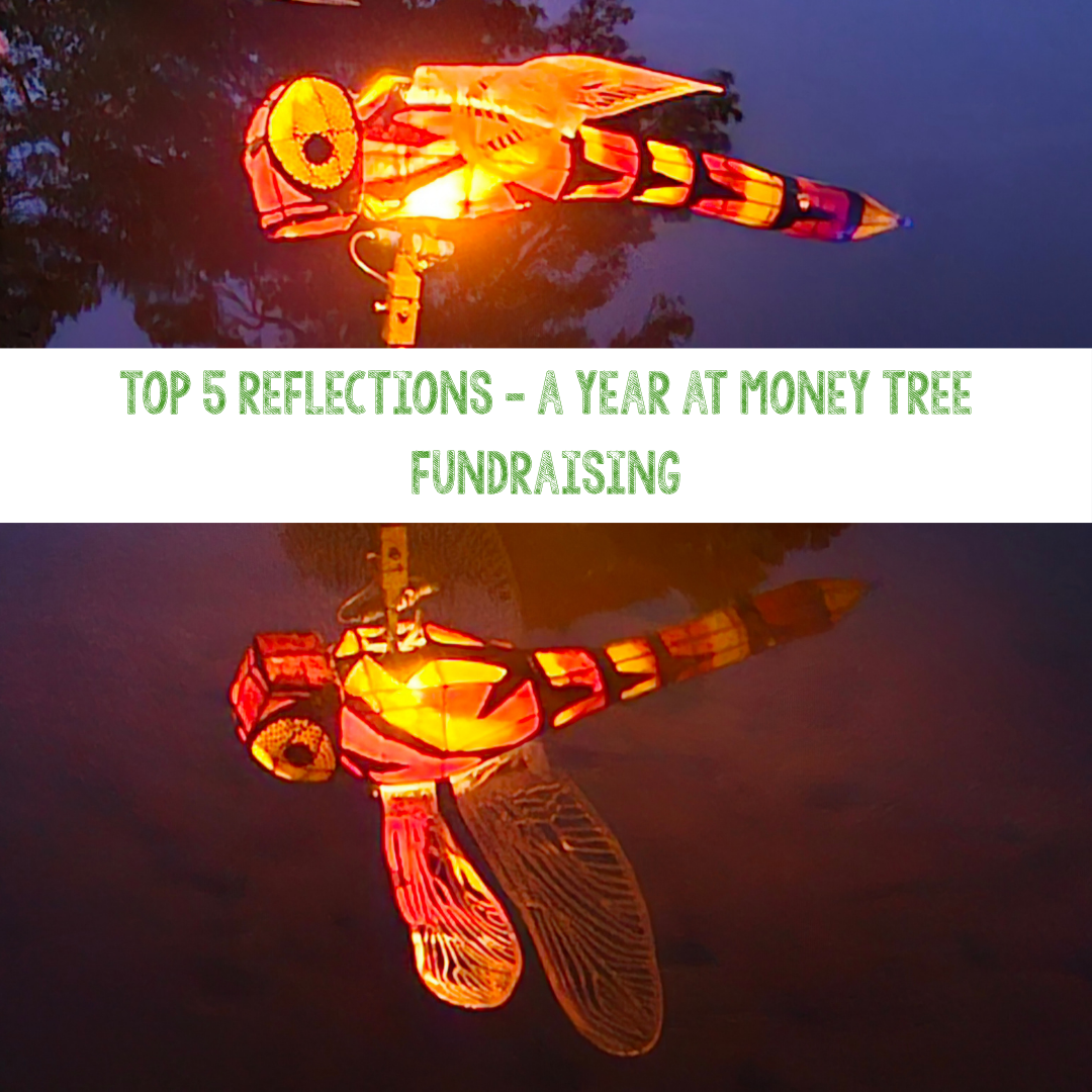 Top 5 reflections – a year at Money Tree Fundraising