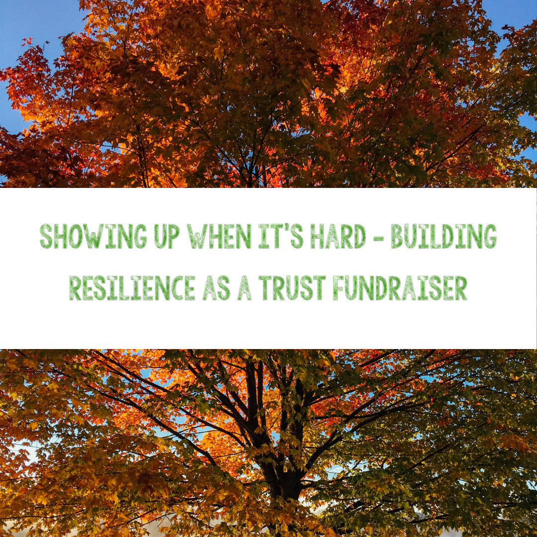 Showing Up When It's Hard - Building Resilience as a Trust Fundraiser