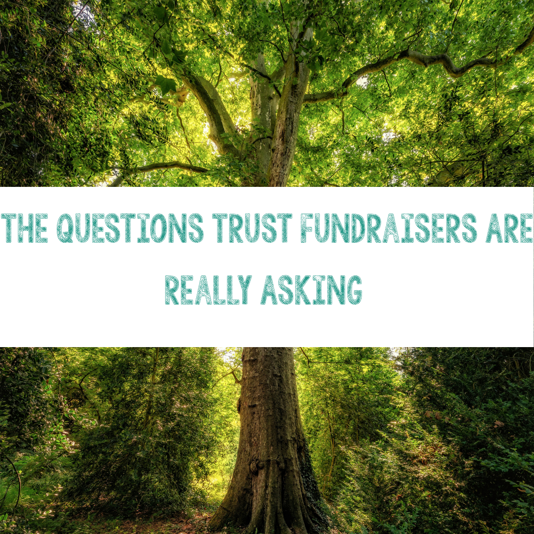 The Questions Trust Fundraisers Are Really Asking
