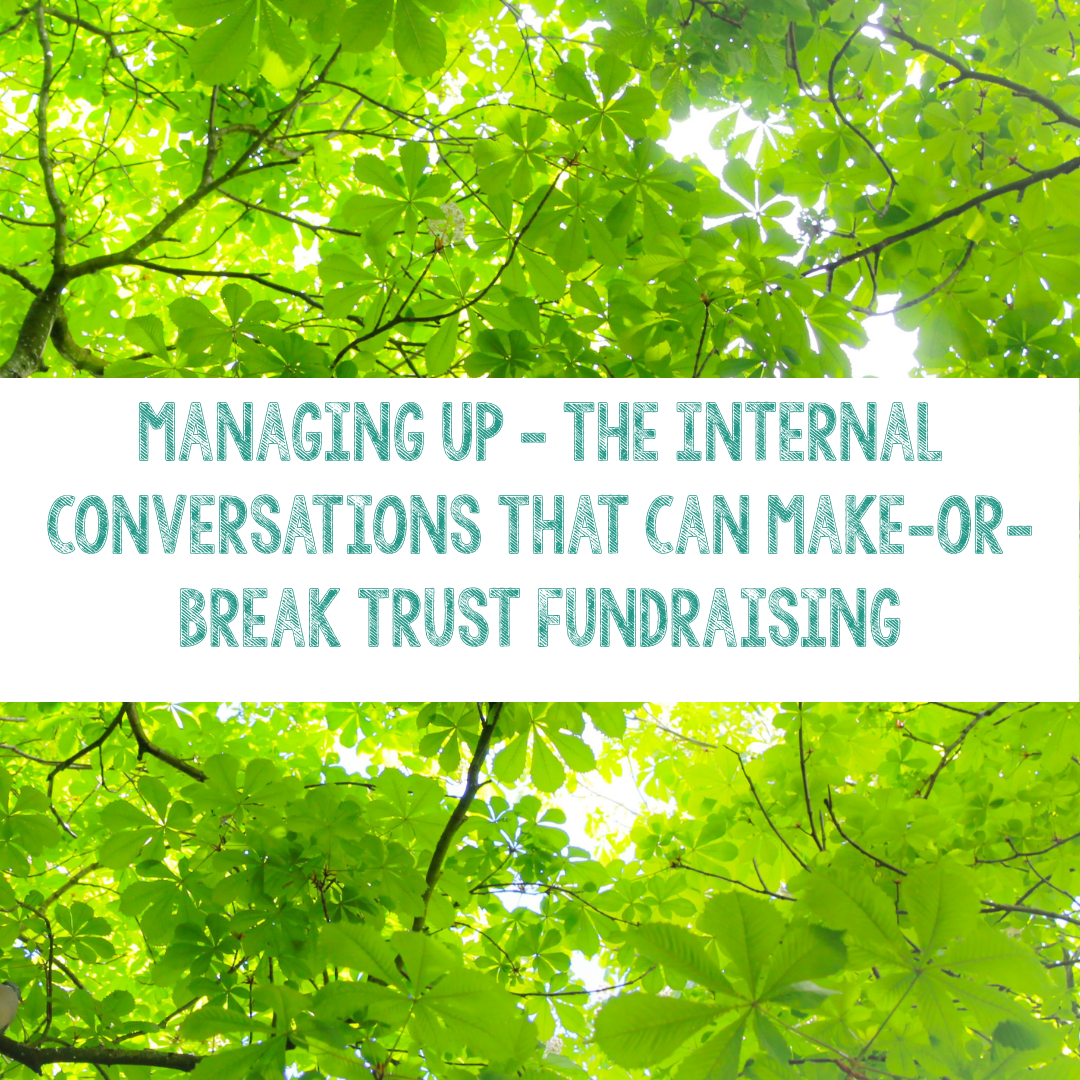 Managing Up: The Internal Conversations That Can Make-or-Break Trust Fundraising