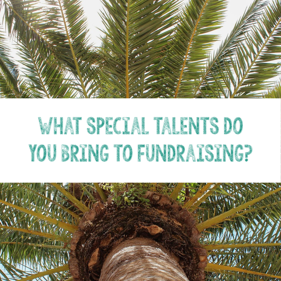 What Special Talents Do You Bring to Fundraising?