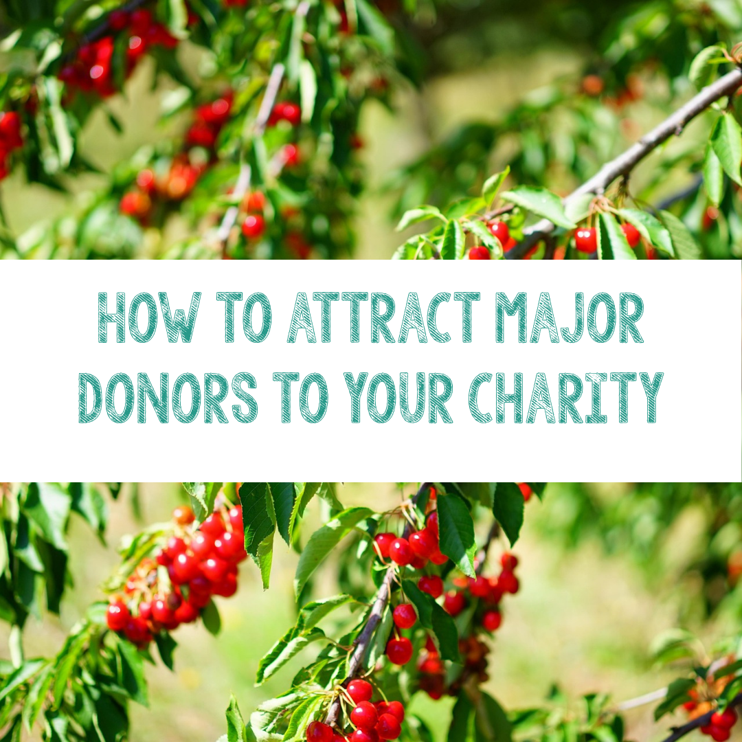 How to attract major donors to your charity