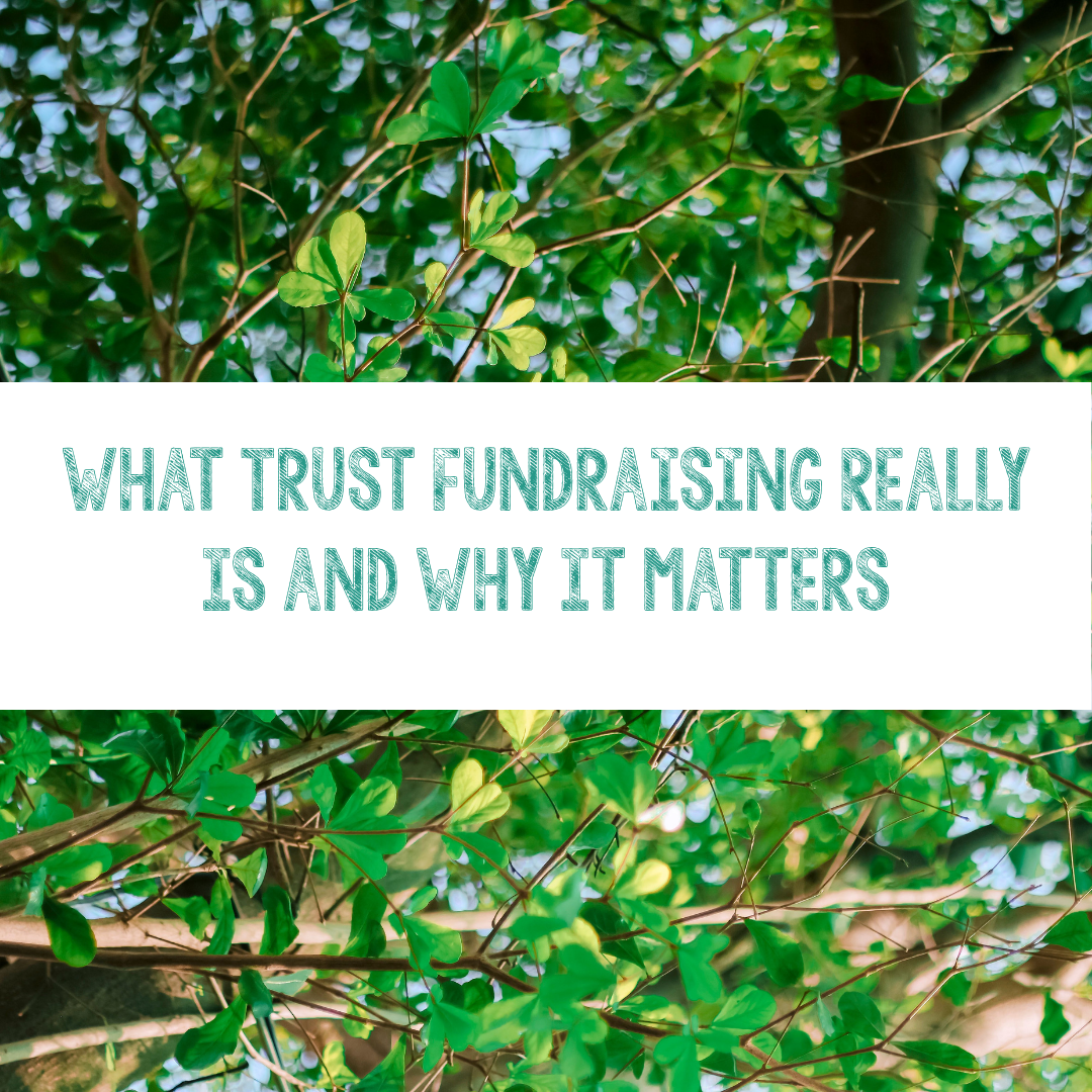 What is trust fundraising, really? Back to basics this autumn