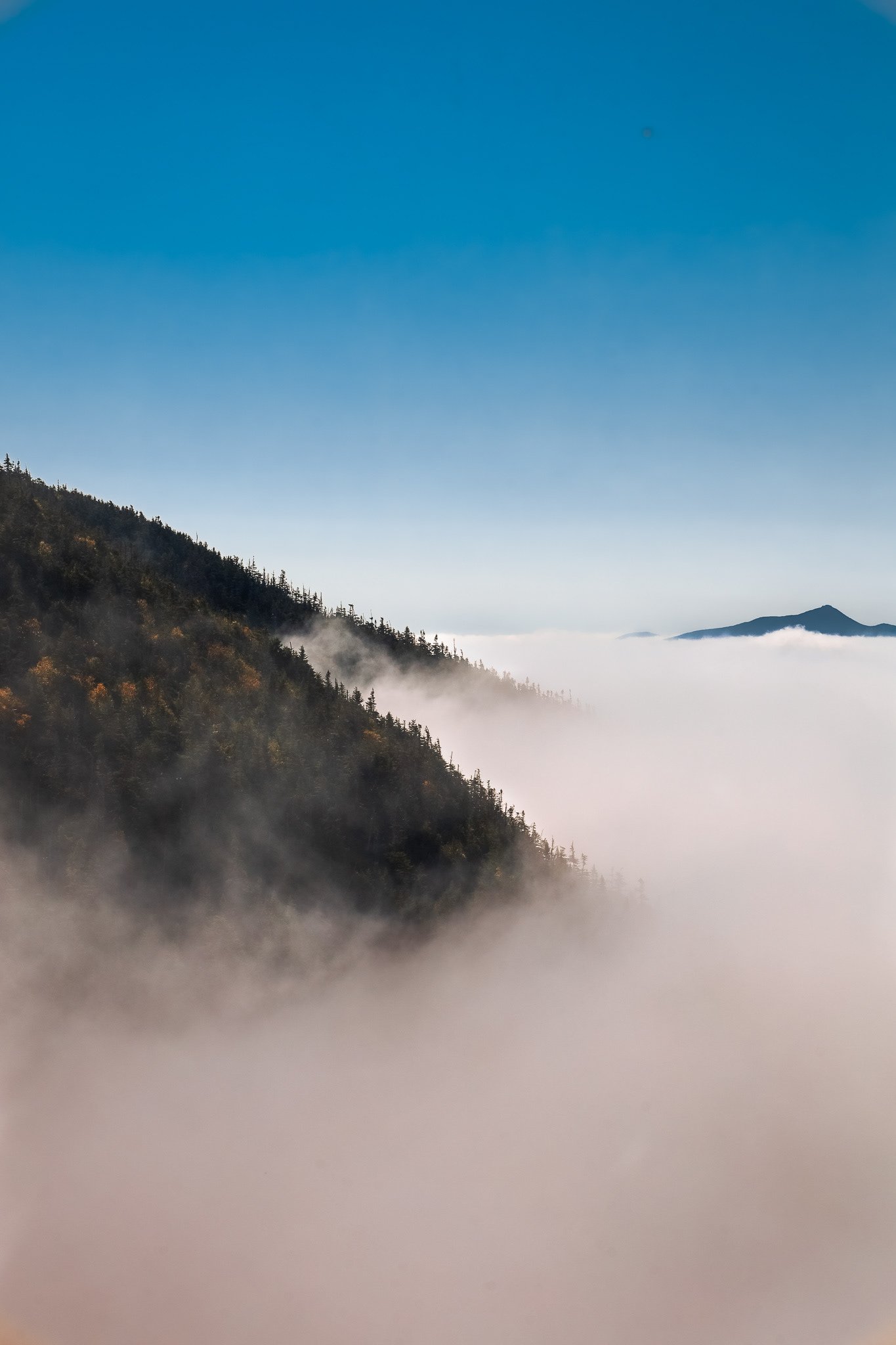 Above the Clouds