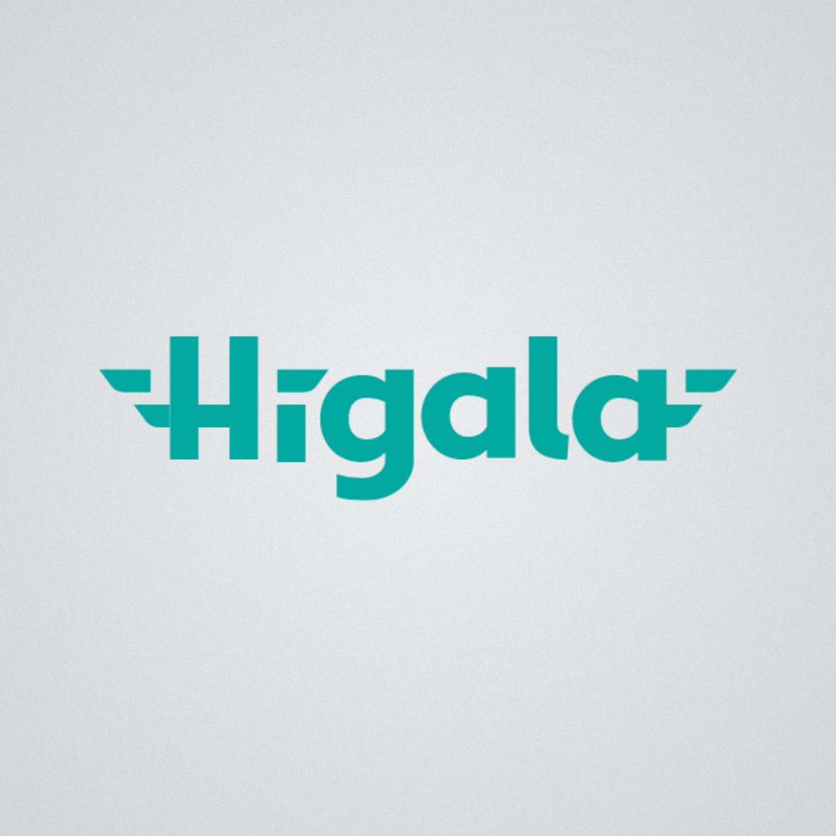 Higala Raises 4m USD Seed Round & Connects 8 Banks