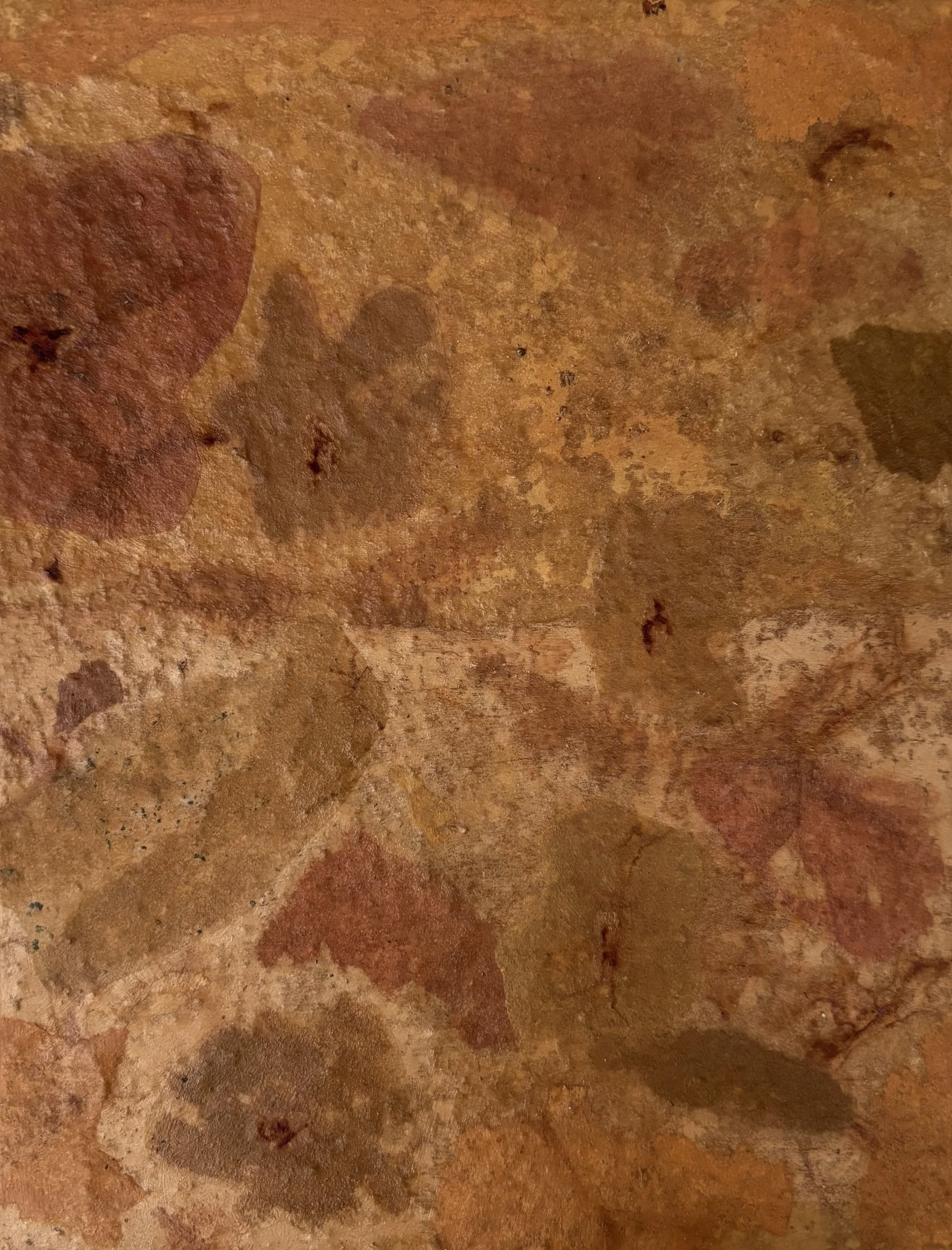 Flower Fossils - 2026