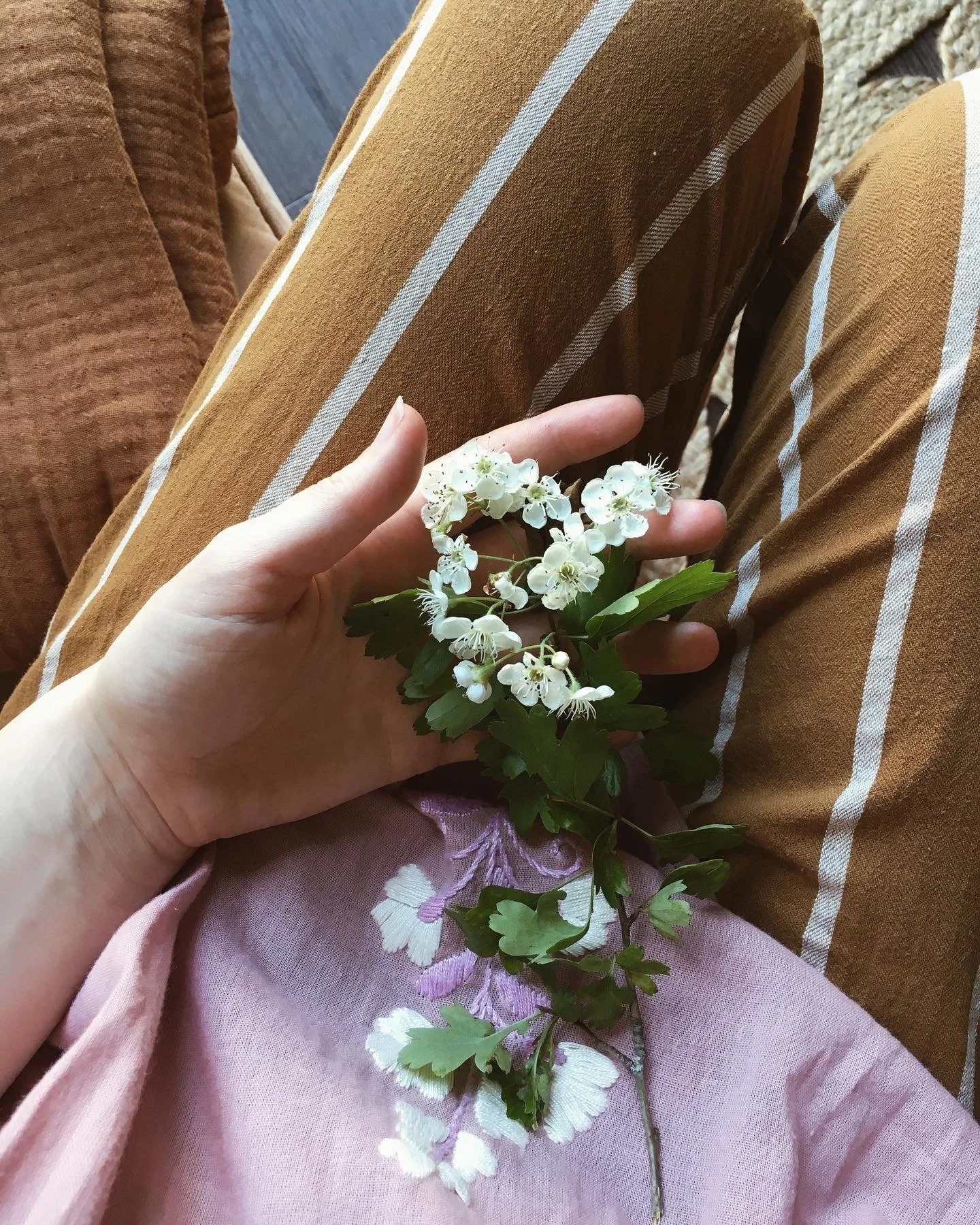  Julie Austin's hand holding a flowering hawthorn branch, resting on her legs, wearing ochre brown pants and a pink top. 