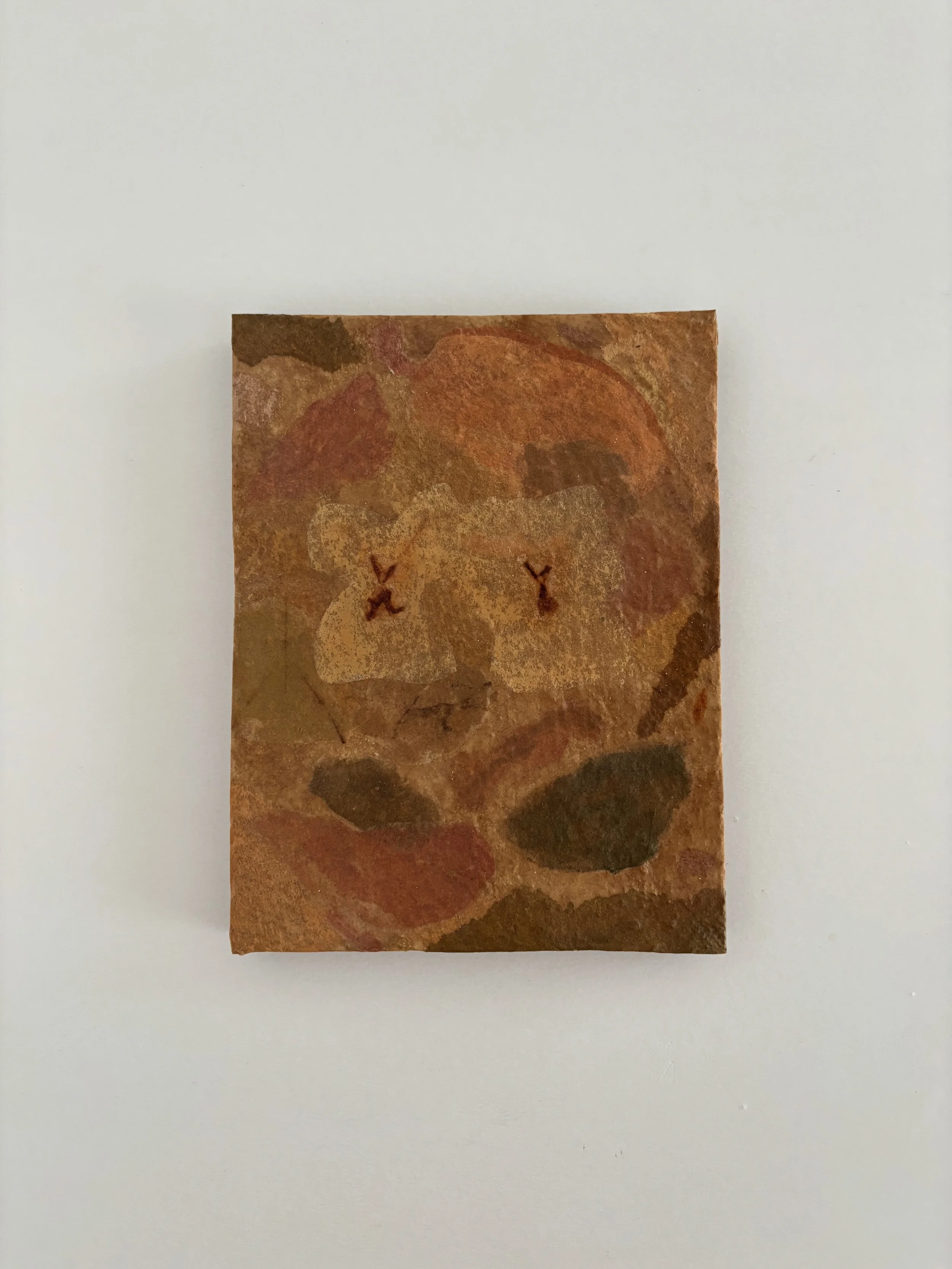 'Flower Fossils II' - 13,5 x 17,5 cm