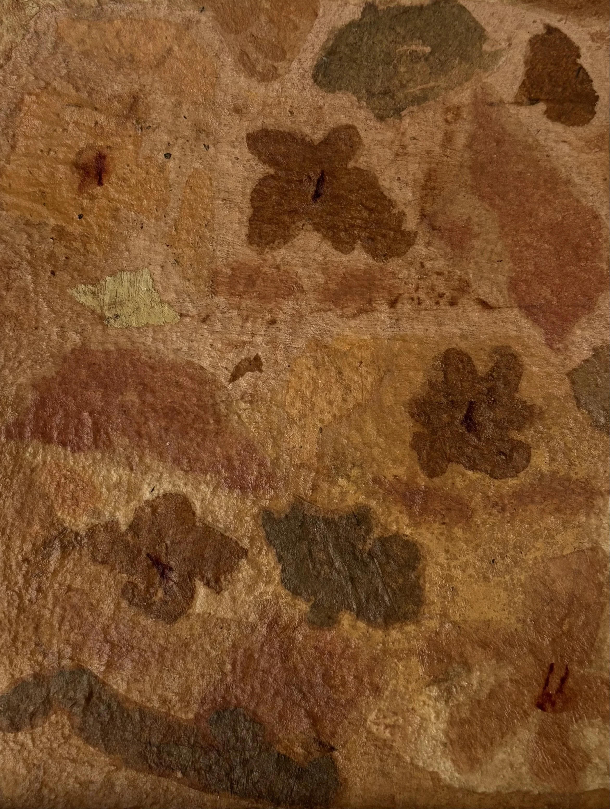 "FLOWER FOSSILS V" - 13,5 x 17,5 cm - mixed media on watercolor paper