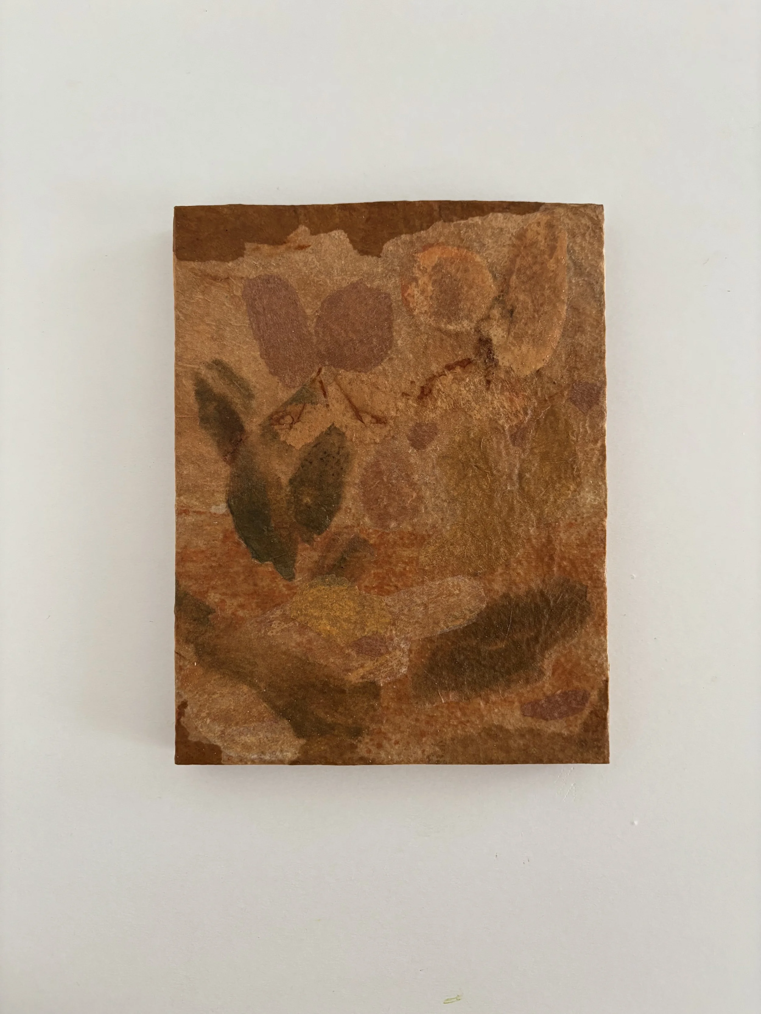 'Flower Fossils I' - 13,5 x 17,5 cm