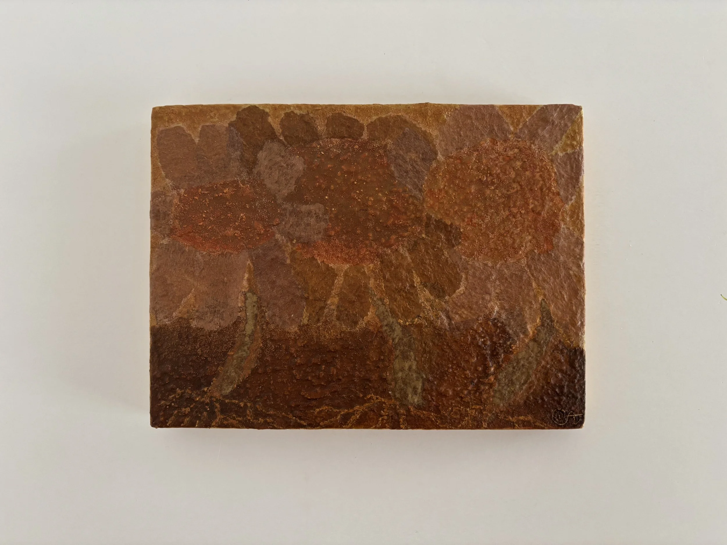 'Seeds After the Flood' - 20 x 15 cm