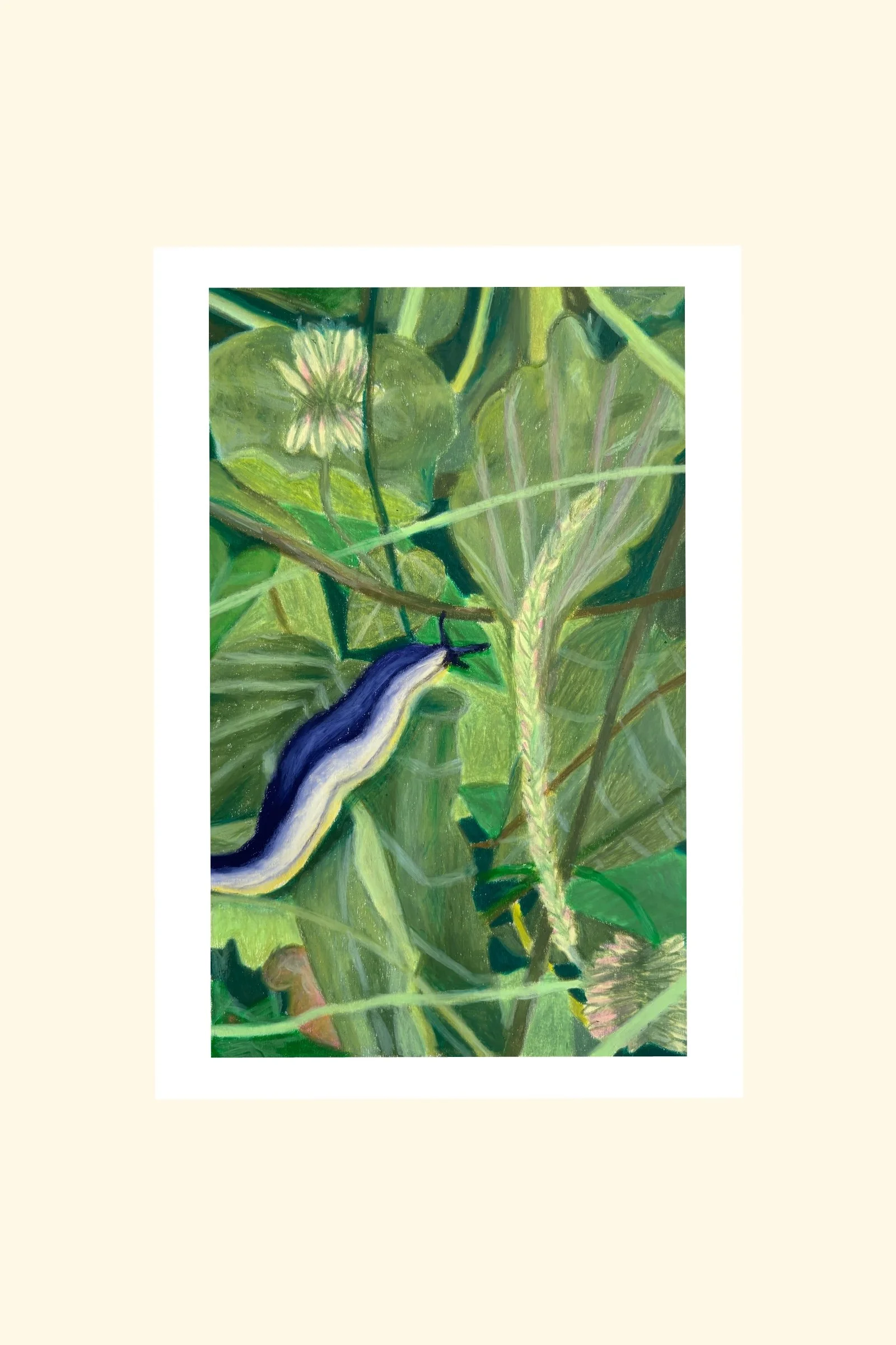 garden-slug-plants-wax-pastel-drawing_2025.jpg