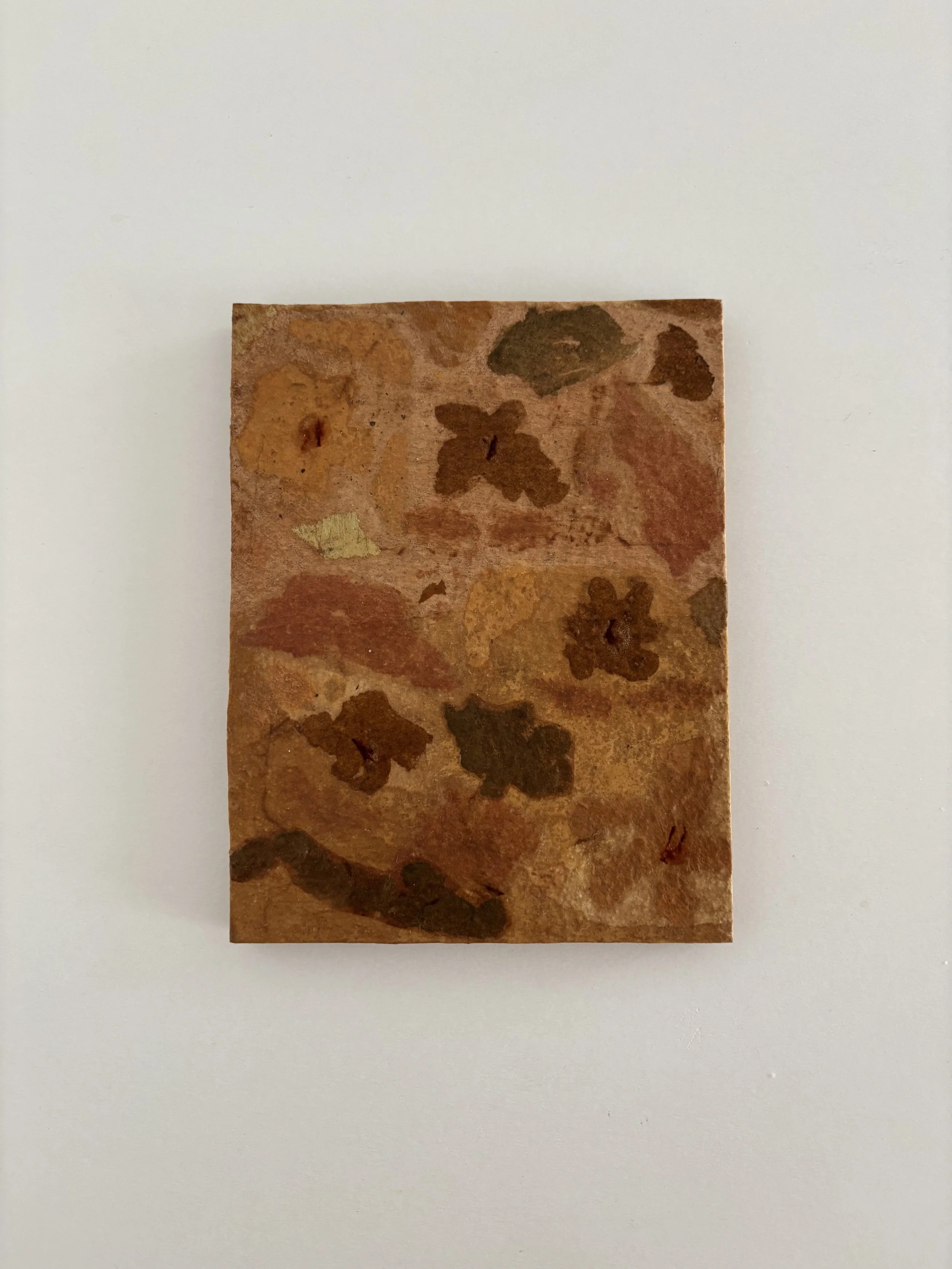'Flower Fossils V' - 13,5 x 17,5 cm