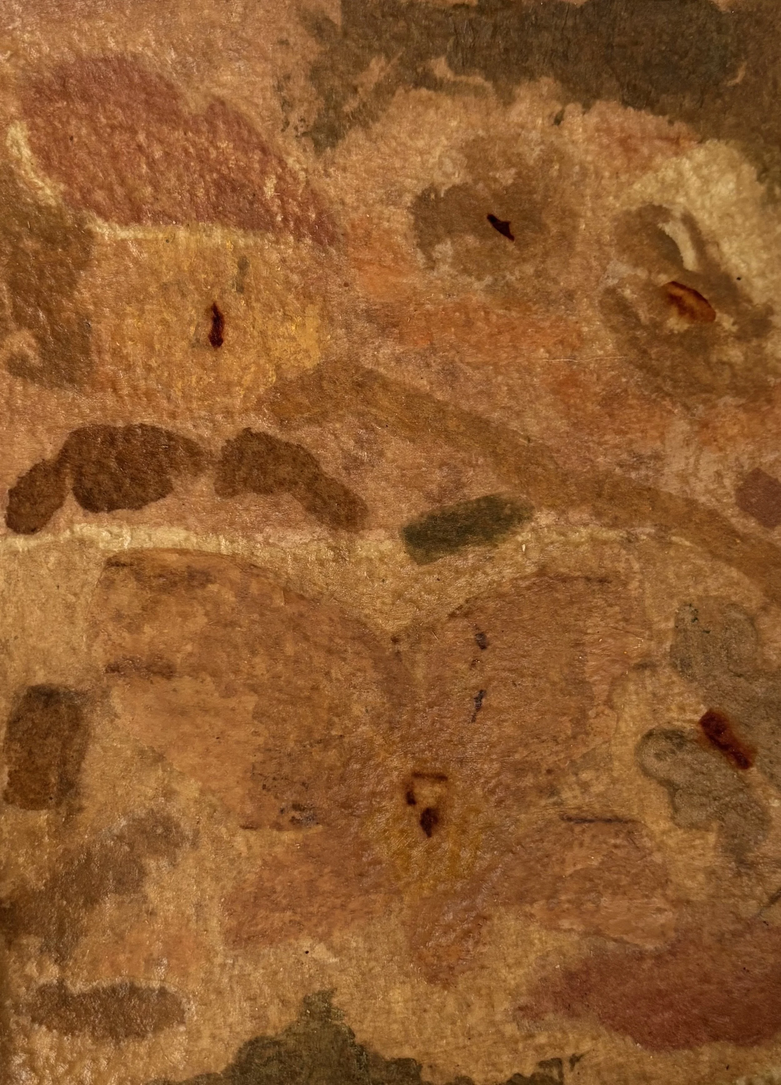 "FLOWER FOSSILS IV" - 13,5 x 17,5 cm - mixed media on watercolor paper