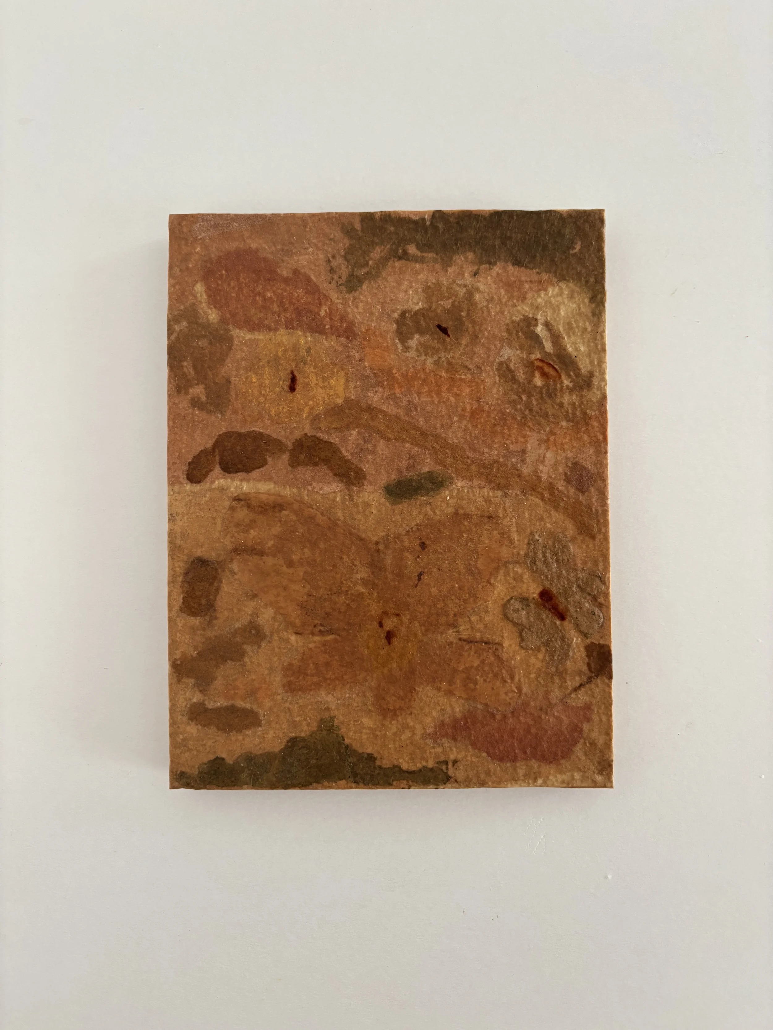 'Flower Fossils IV' - 13,5 x 17,5 cm