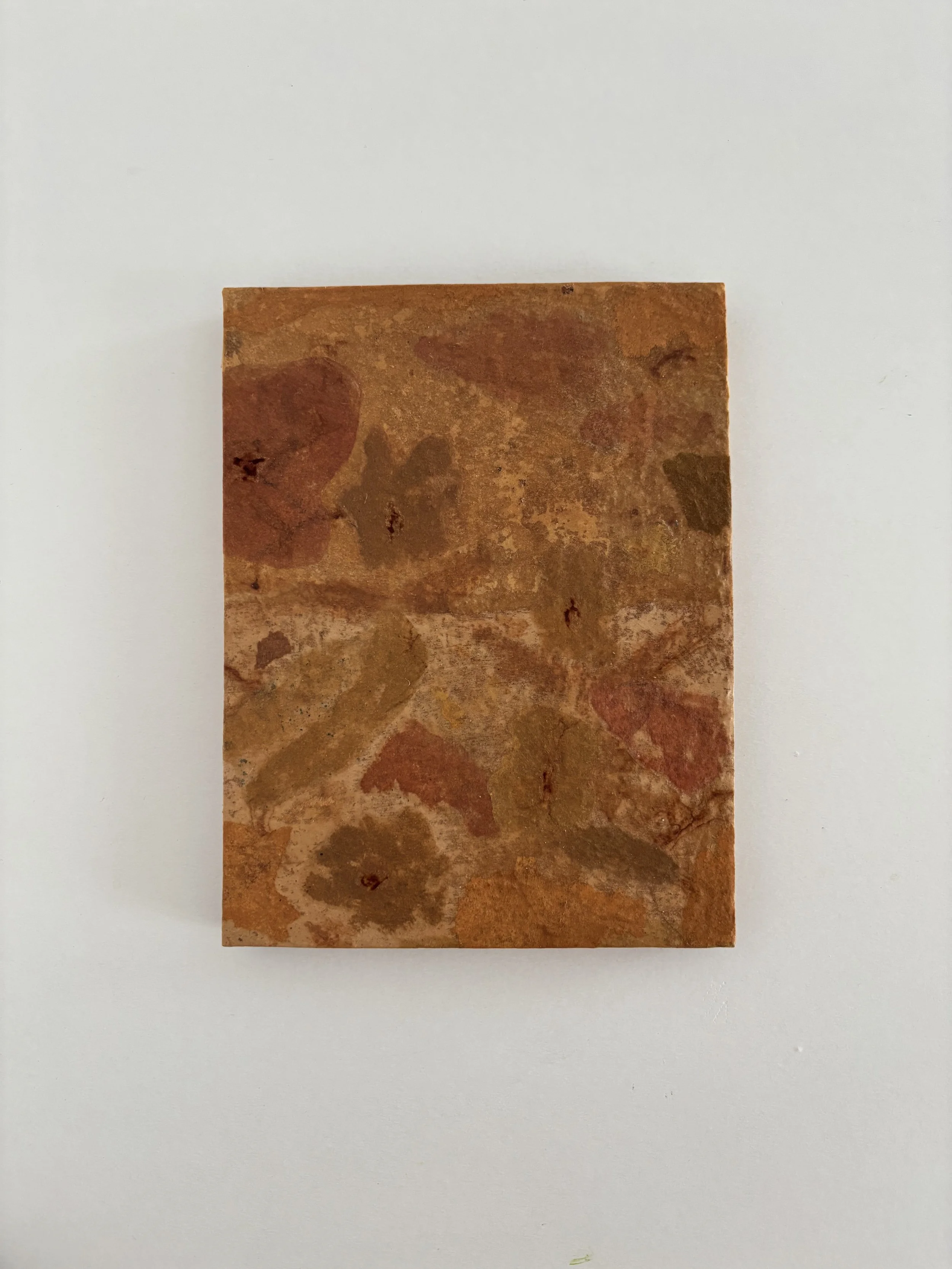'Flower Fossils III' - 13,5 x 17,5 cm