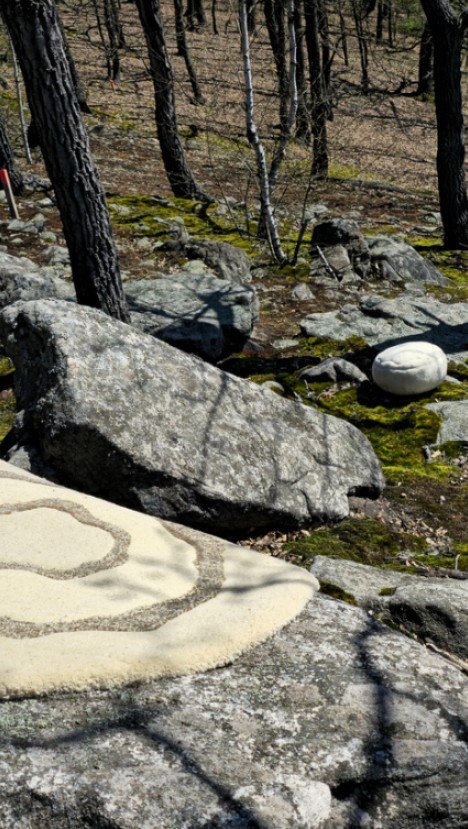 A rocky outdoor scene with large boulders, some with moss and sand patterns, surrounded by trees with sparse branches in the background.