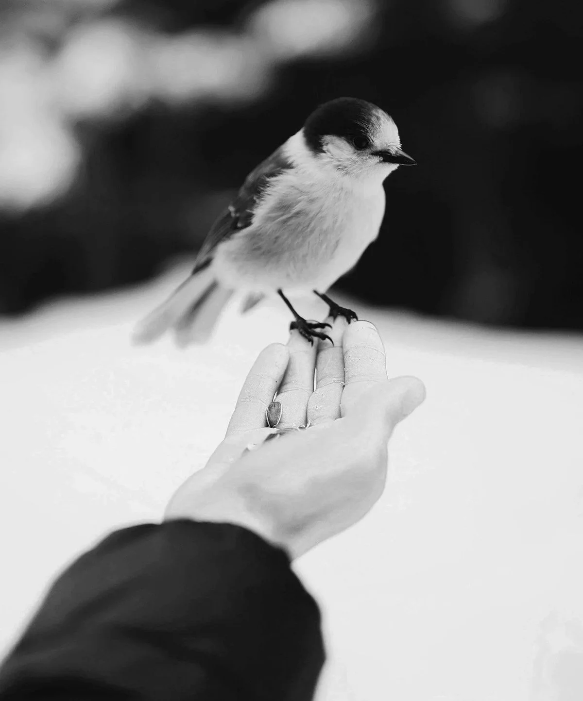 Spiritual Direction Training | Spiritual Formation & Direction | Sustainable Faith