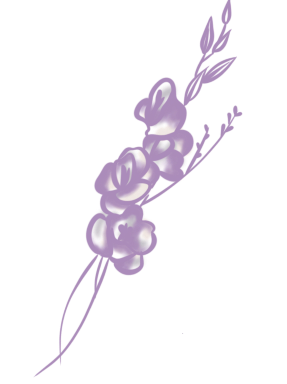 Ramo de lavanda de color violeta claro.