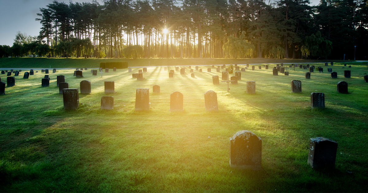 Begraven Begraven in Nederland: wat je moet weten over kosten, grafsoorten en ...