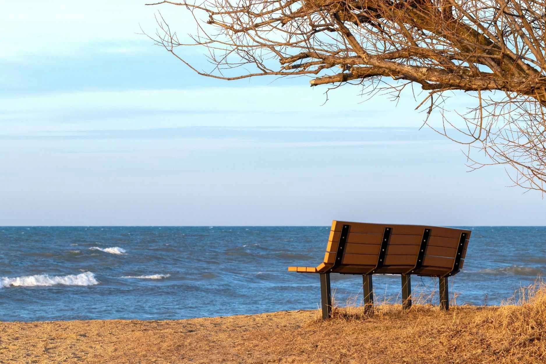 Wooden bench overlooking the beach