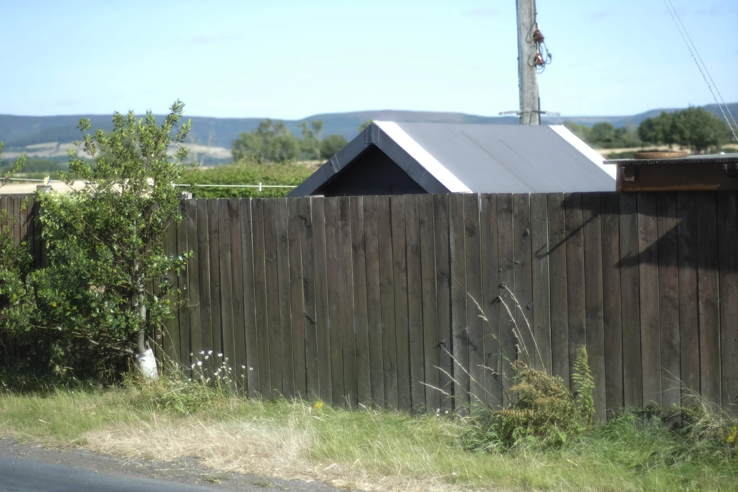 Black Swan shed.JPG