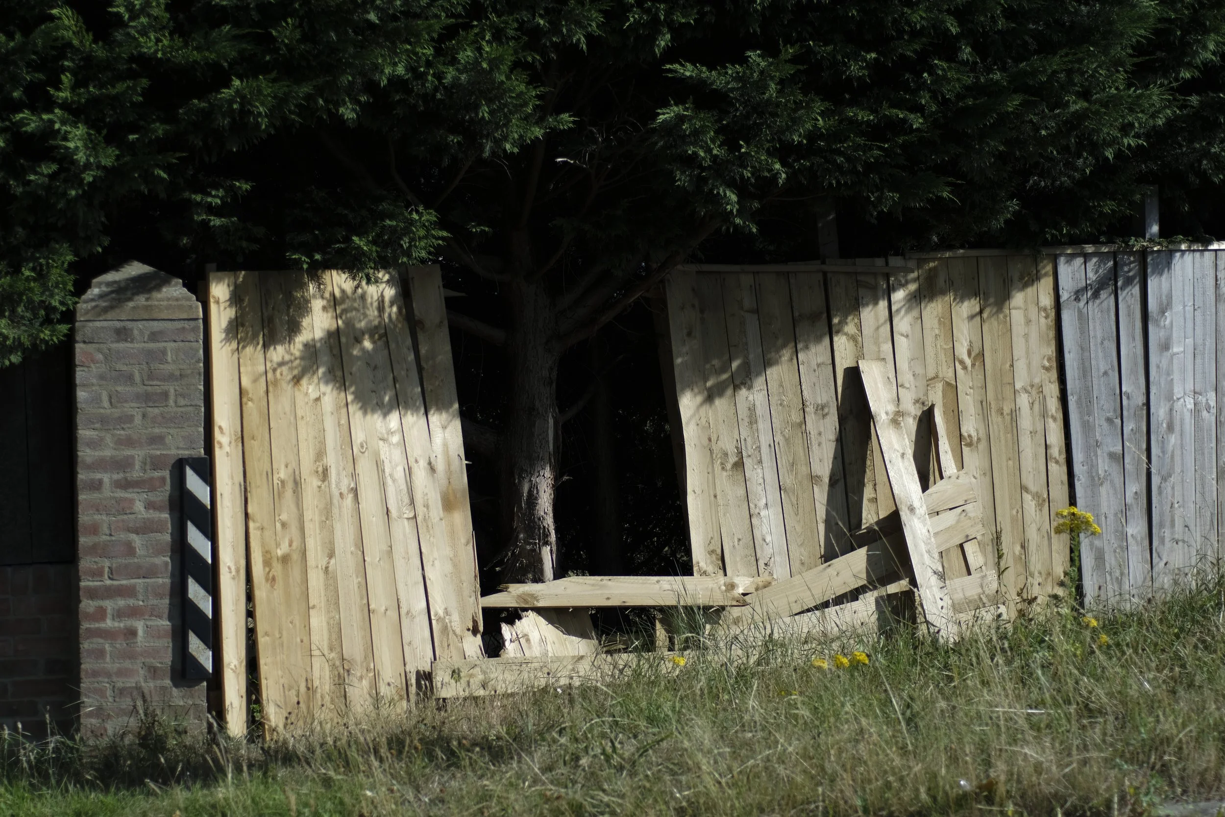 Fallen Fence.JPG