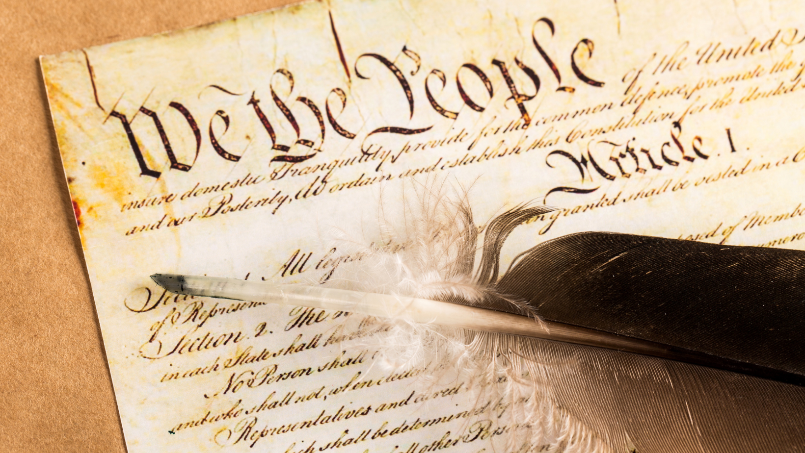 “We the People” or “We the powerless"? An old-world idea lives on under a new name:government immunity