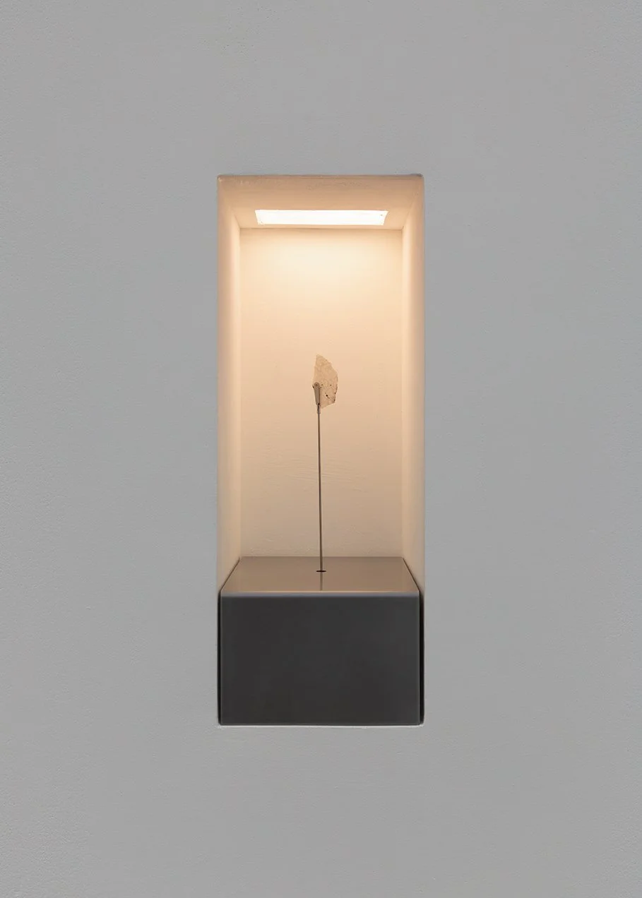Hannah Morgan  | Signacula ii