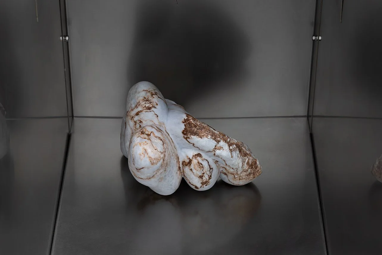 Hannah Morgan  | SYPEN i