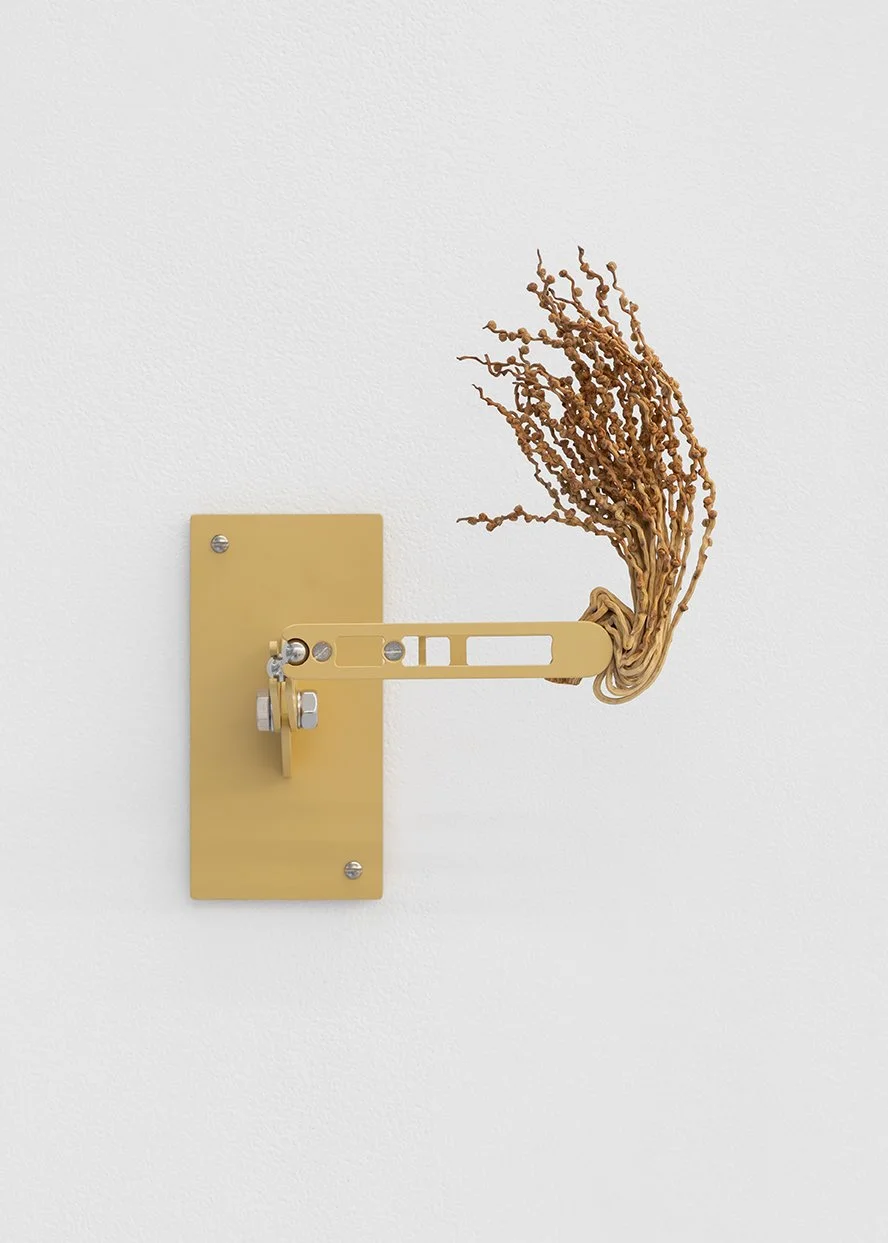 Yuli Serfaty | Infecund I