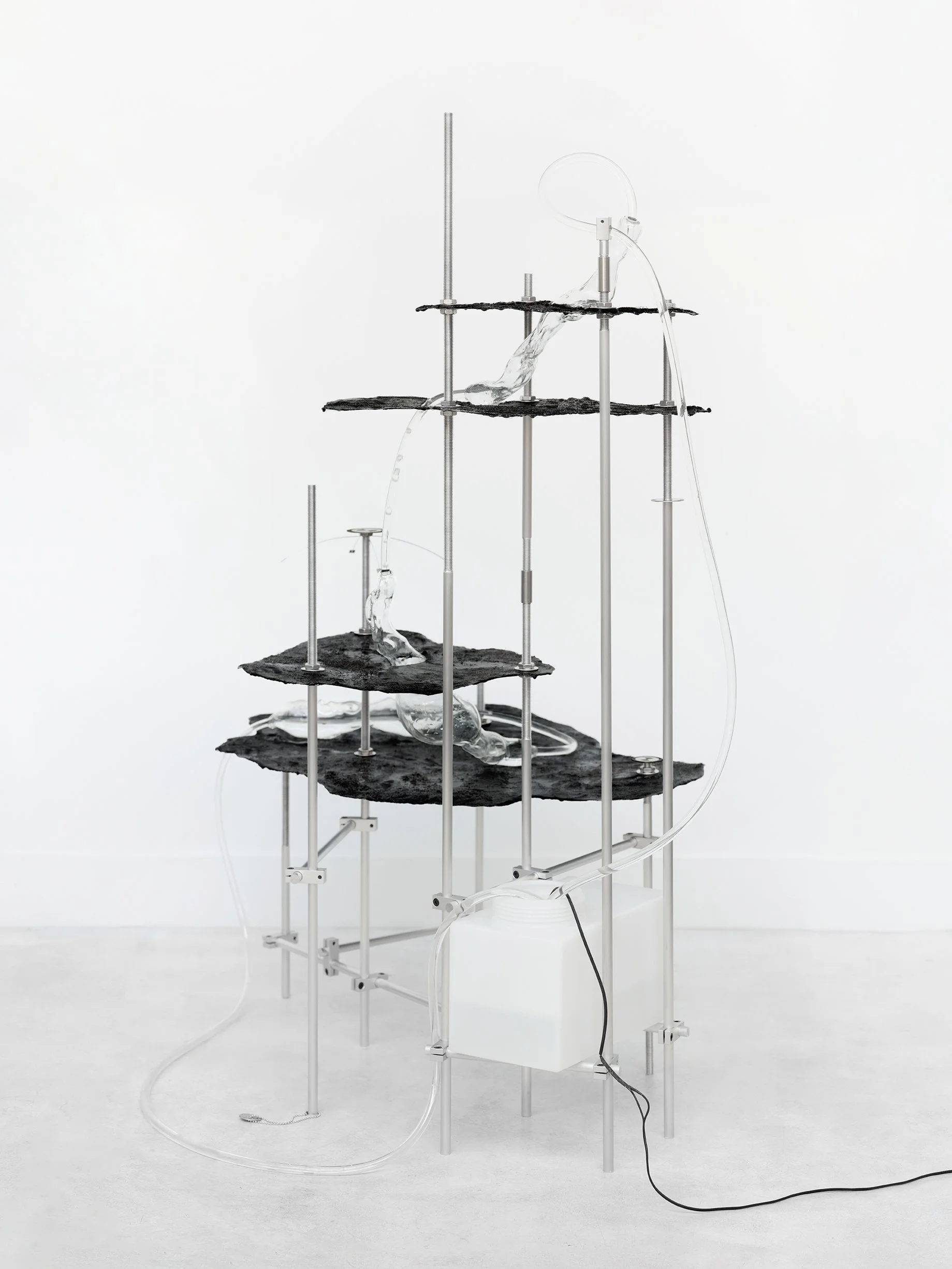 Louise Oates  | Future Obscura