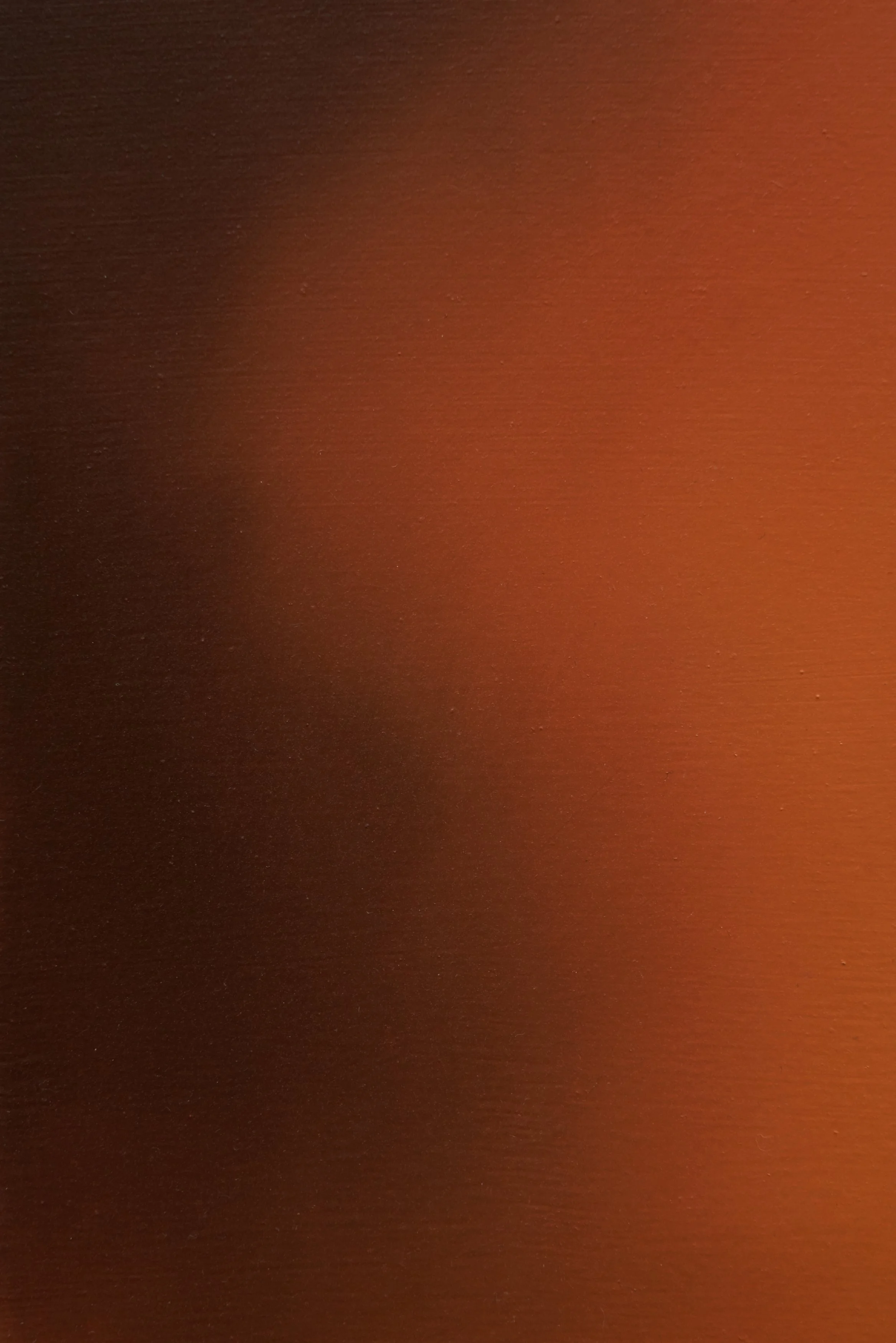 DM_02_08.jpg
