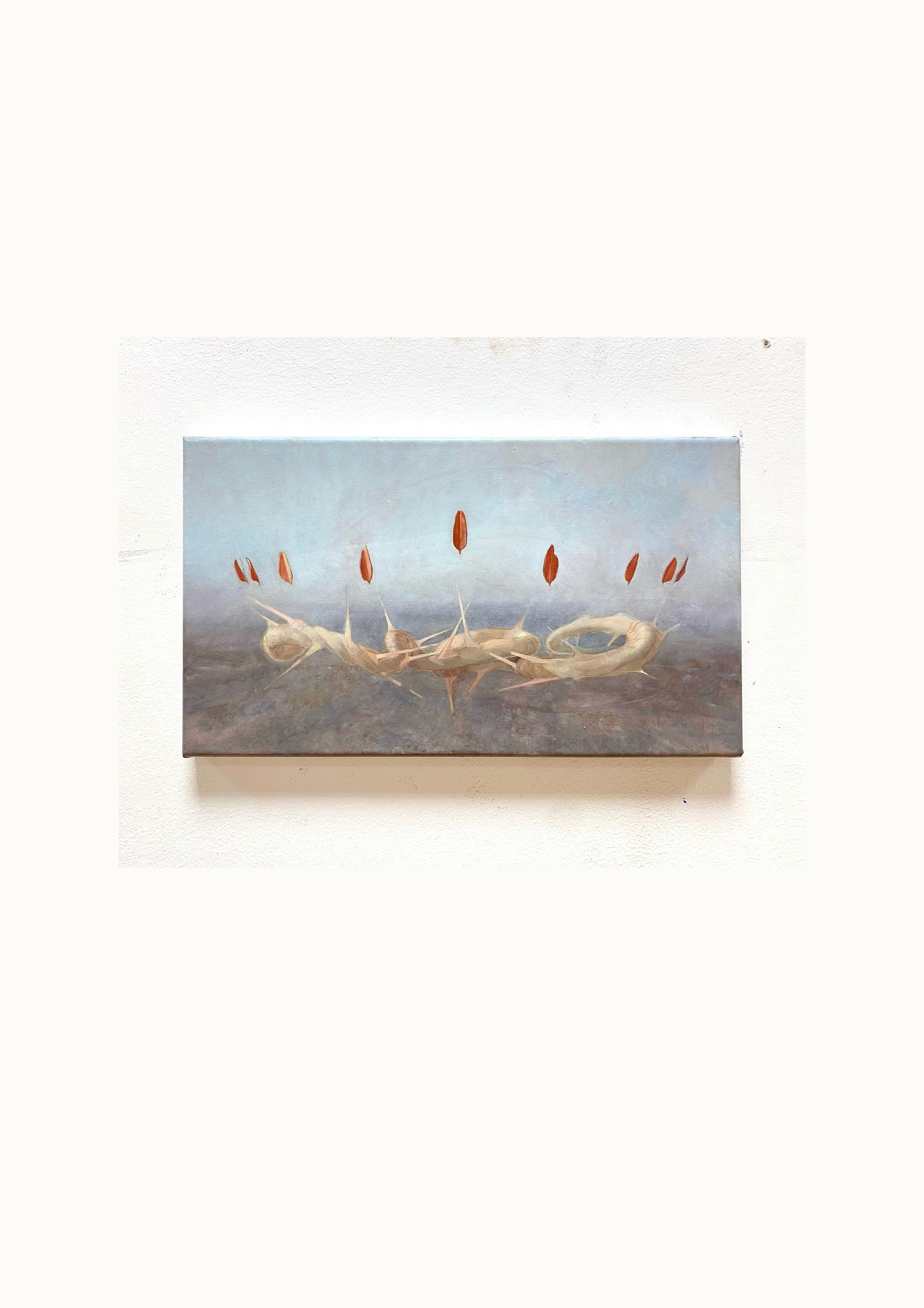 Noah El Hachem  | Untitled