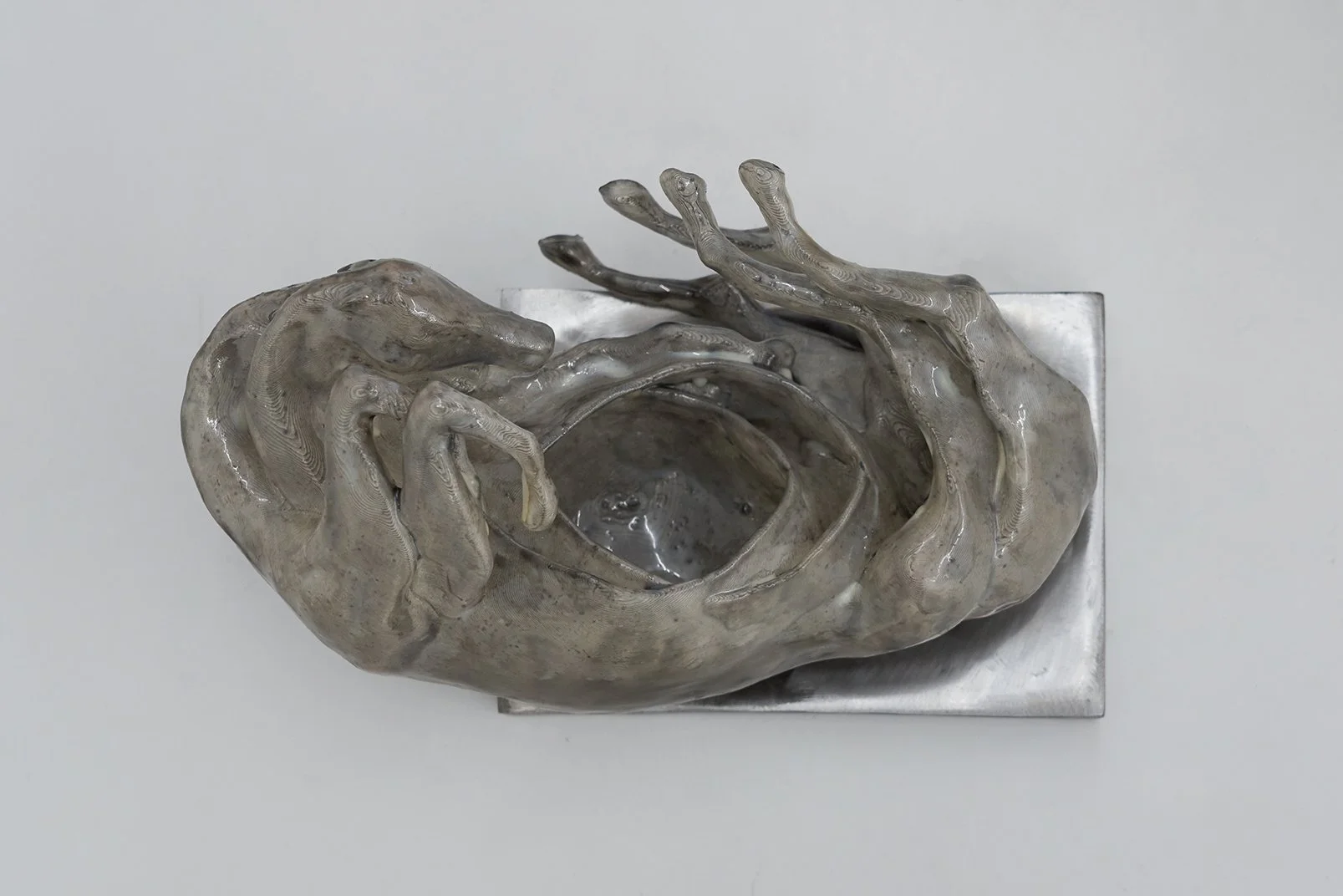 Casilda Oppe | Piernas