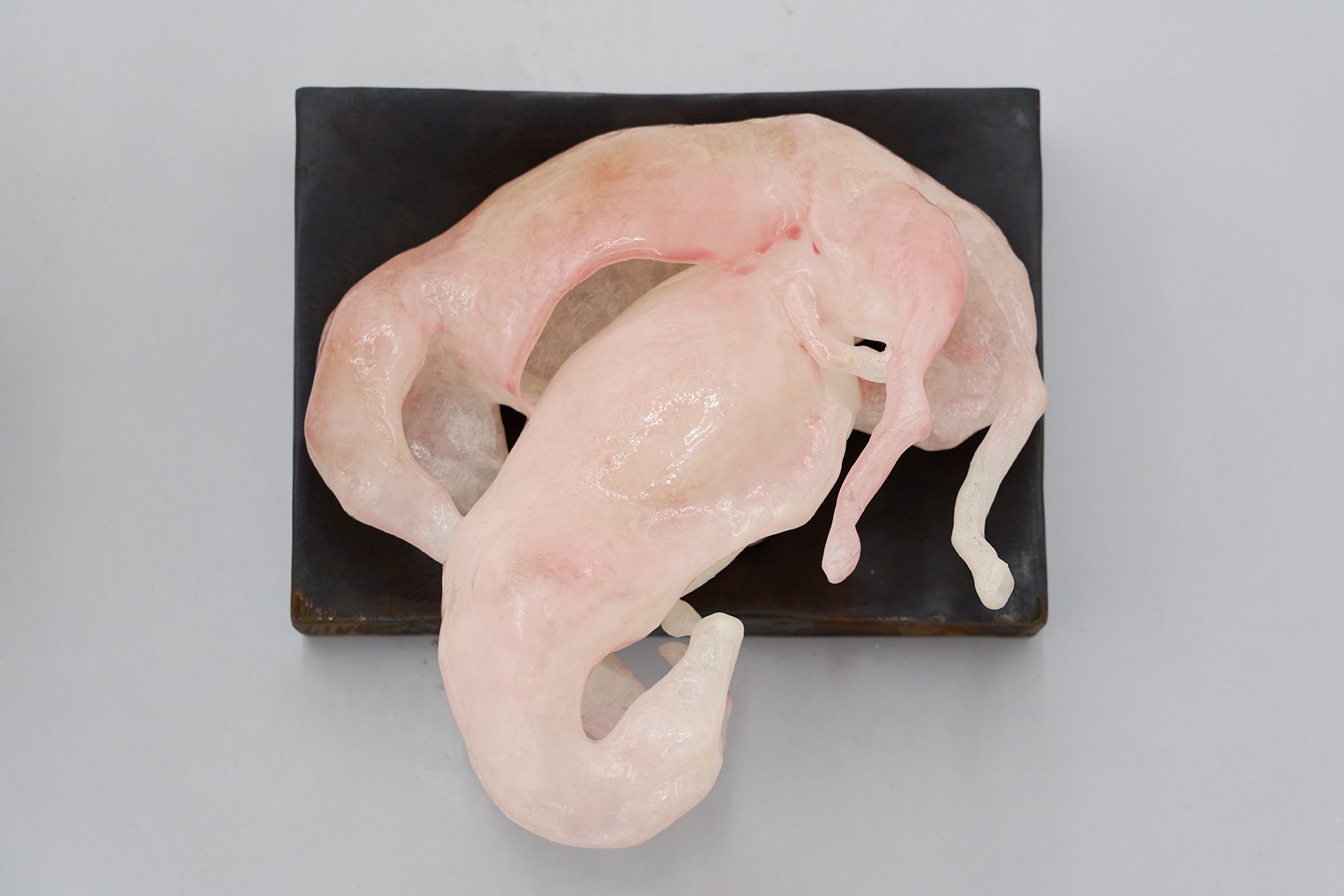 Casilda Oppe | Sugary Vascular