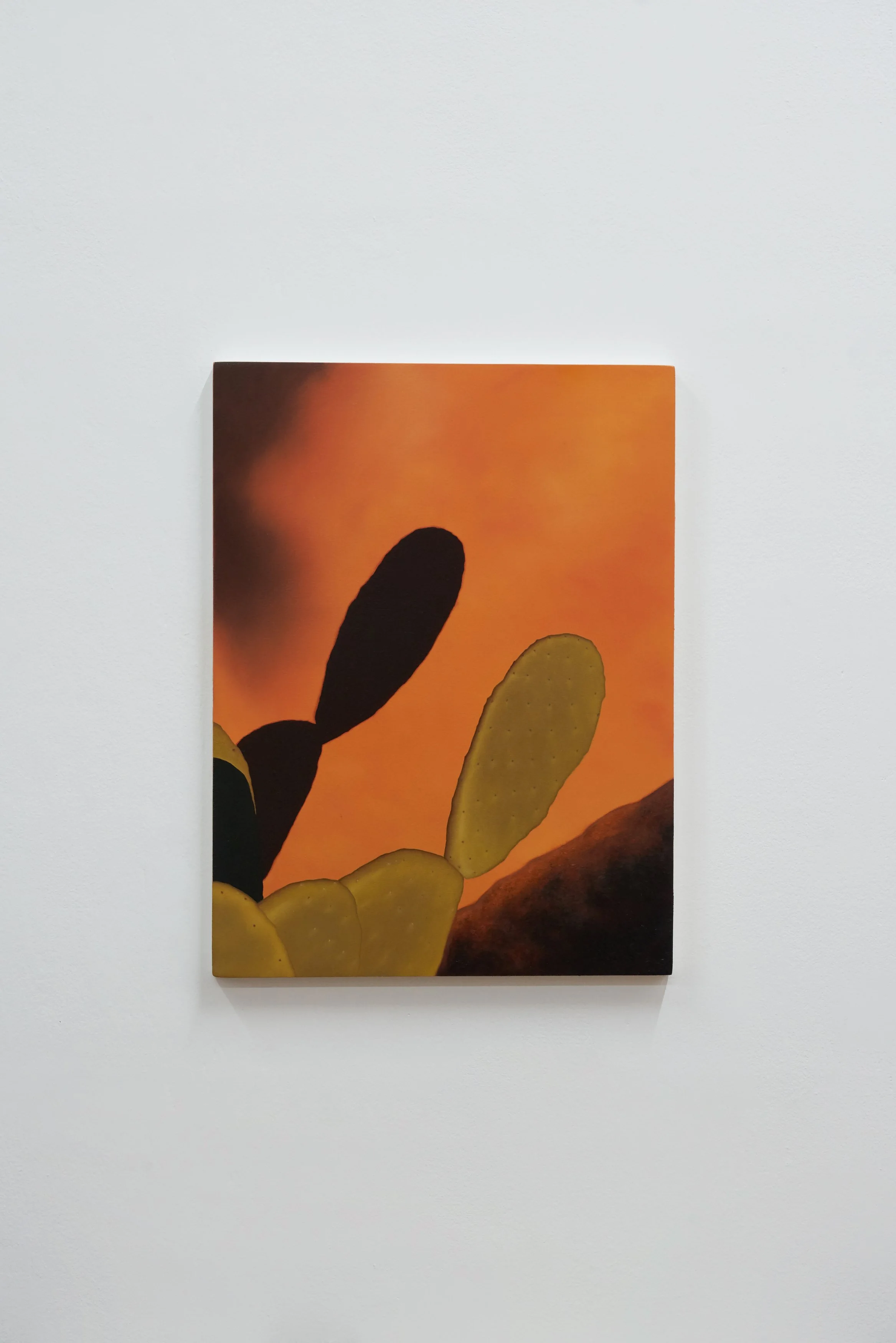 David Micheaud  | Cactus