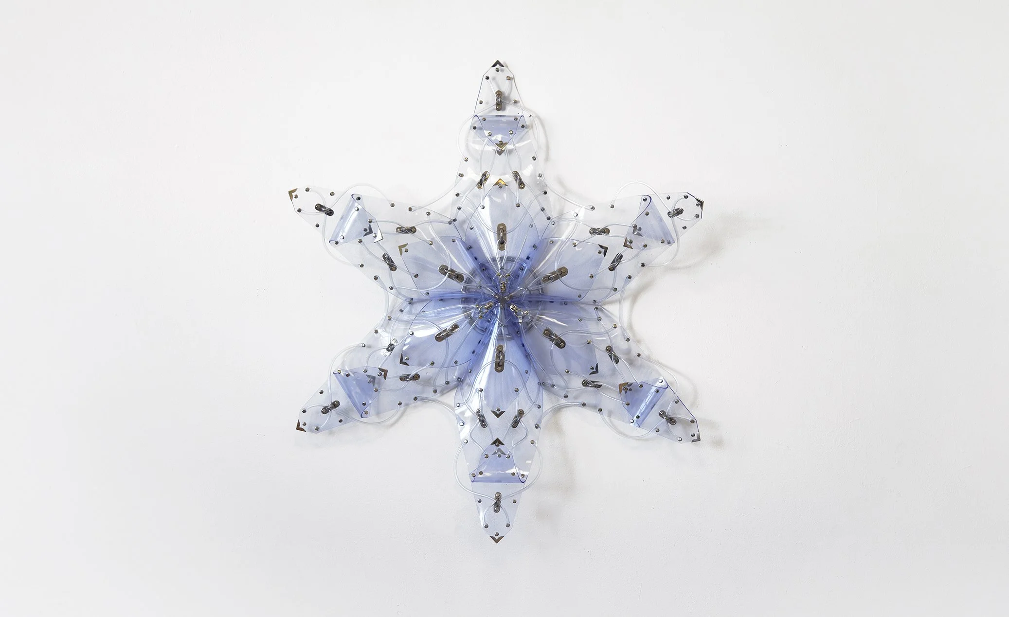 Floryan Varennes | Stella Splendens 1.1 (Flower)
