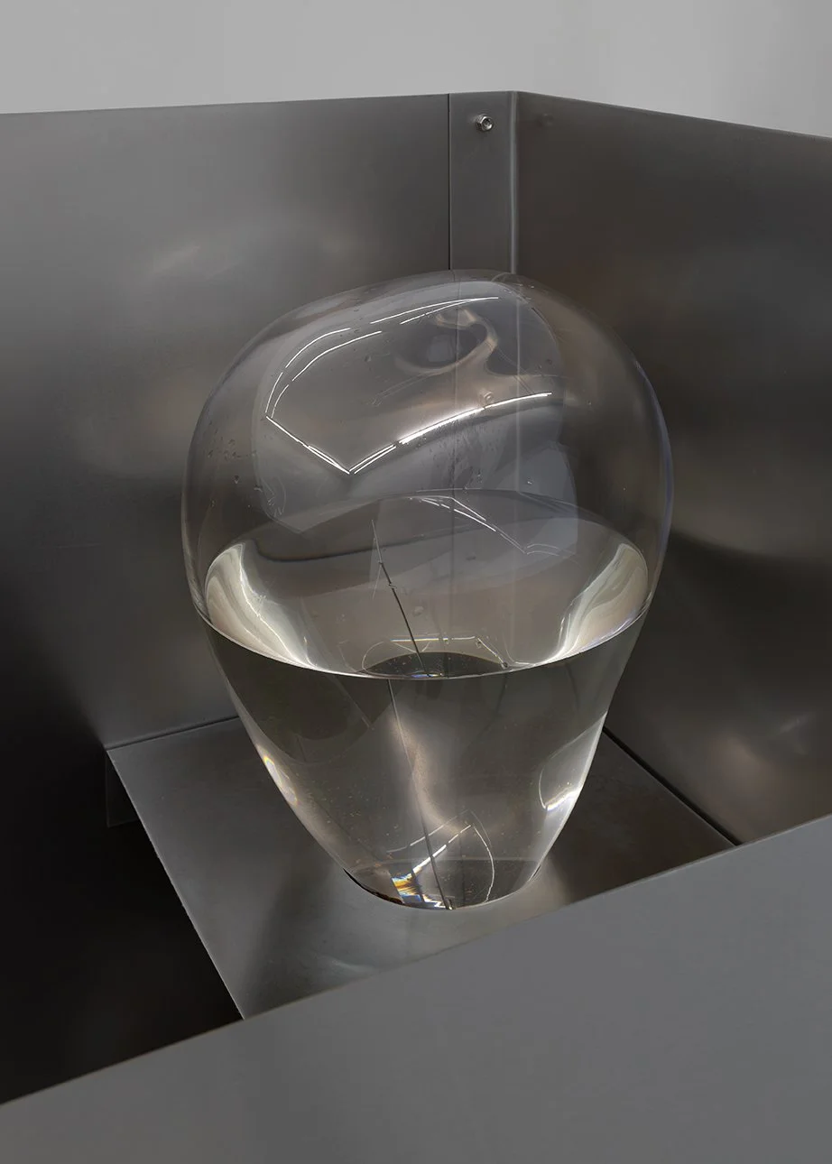Hannah Morgan  | ampullae iii