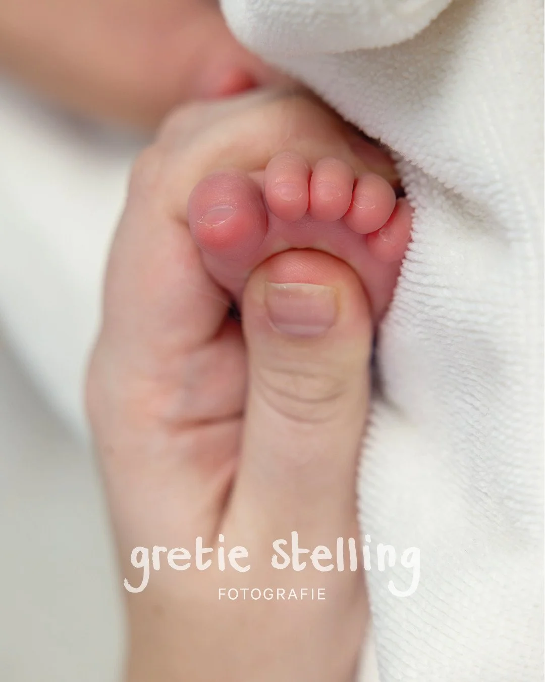 Even de voetreflexen testen. Nou dat zit wel goed met dit mannetje⁠!⁠
⁠
⁠
⁠
⁠
⁠&bull;⁠
#gretiestellingfotografie #gretiestelling #babyfoto #kerstshoot #babyfotografie #newbornshoot #newbornfotografie #paasminishoot #studiofotografie #newbornphotograp