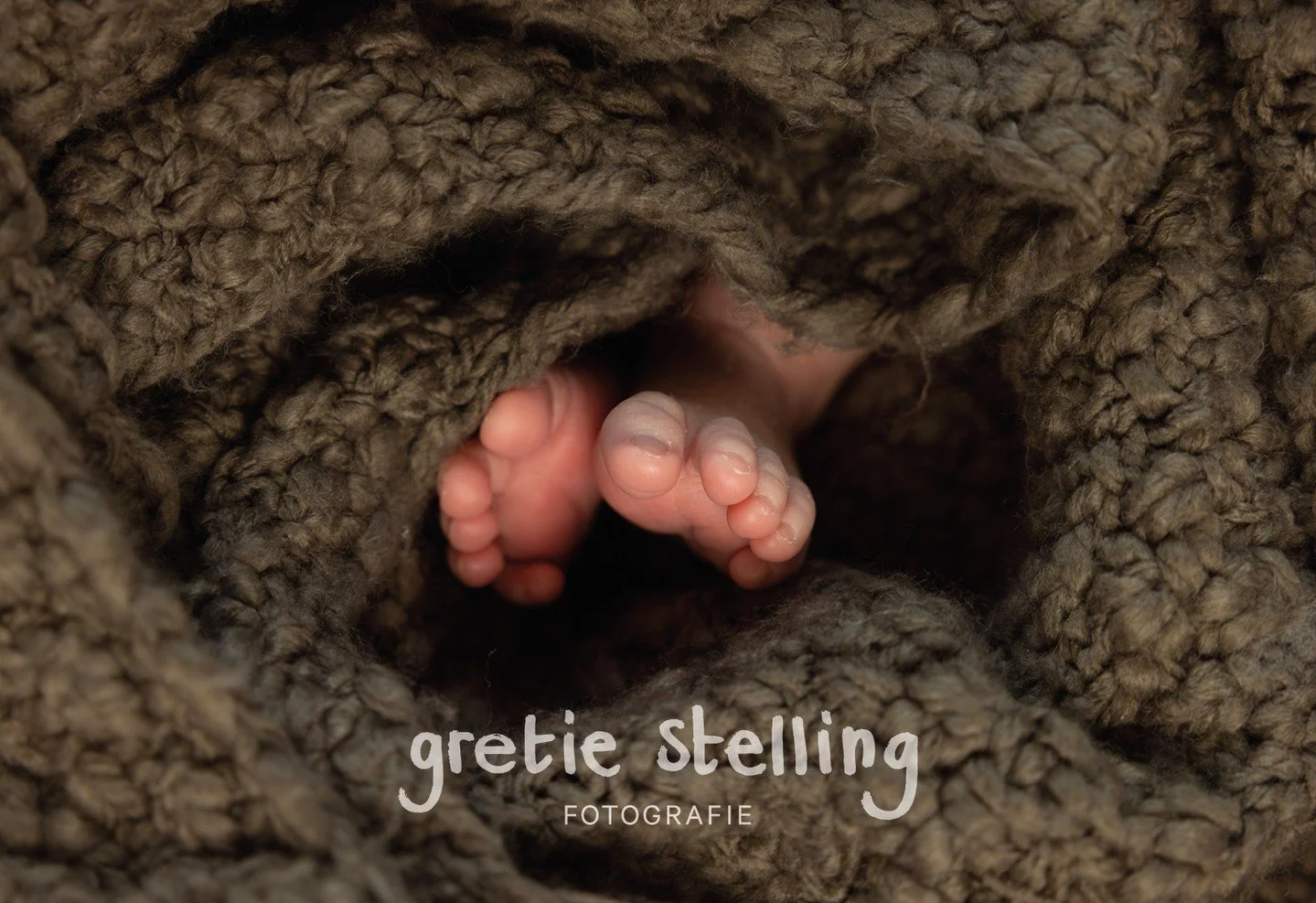 Zo zacht, zo klein, zo lief.⁠
⁠
⁠
⁠&bull;⁠
#gretiestellingfotografie #gretiestelling #babyfoto #kerstshoot #babyfotografie #newbornshoot #newbornfotografie #paasminishoot #studiofotografie #newbornphotography #babyfotosessie #newbornbaby #newborn #fo