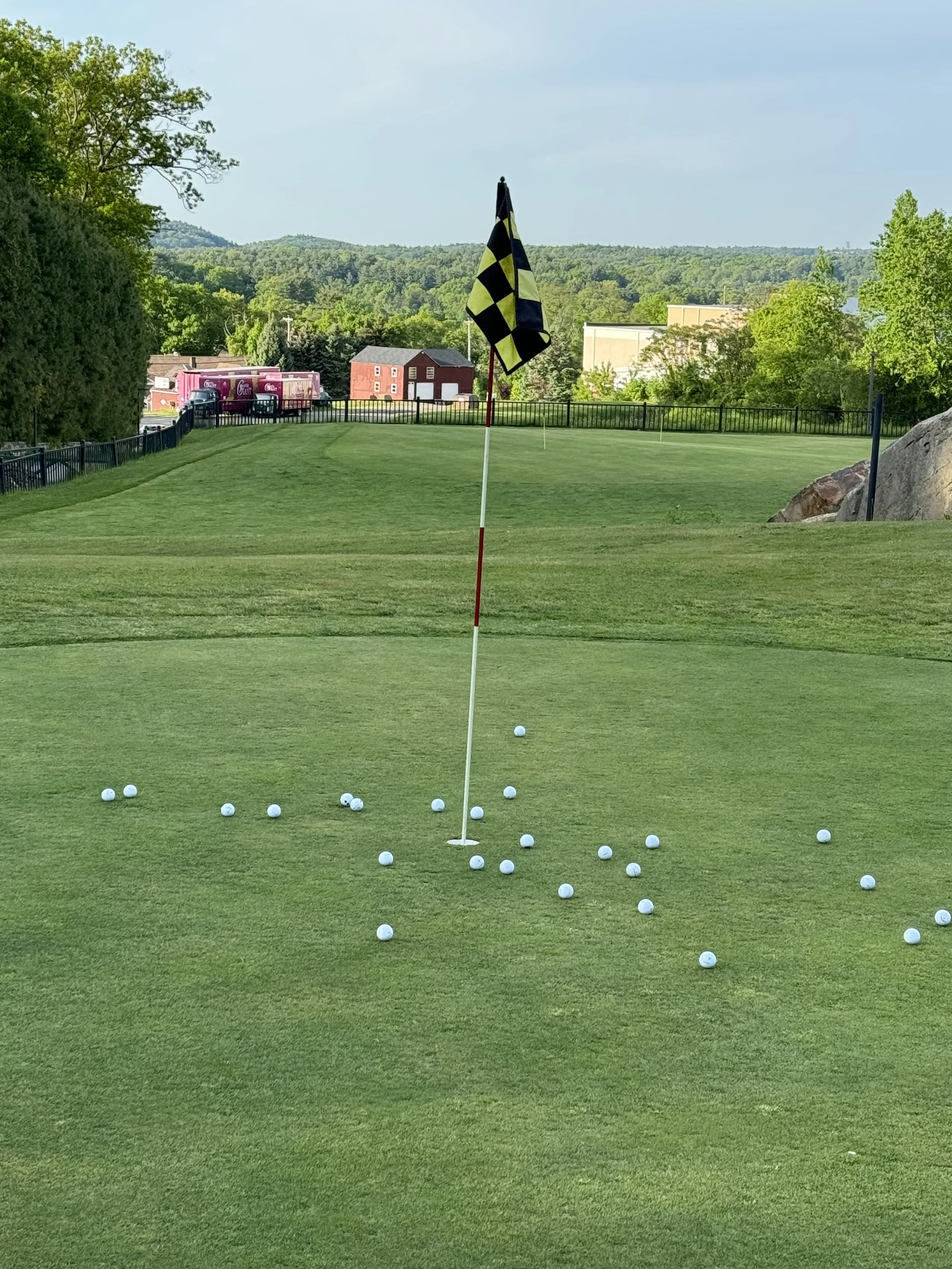 Golf course green with a checkered flag, golf balls scattered around the hole, trees, and mountains in the background.
