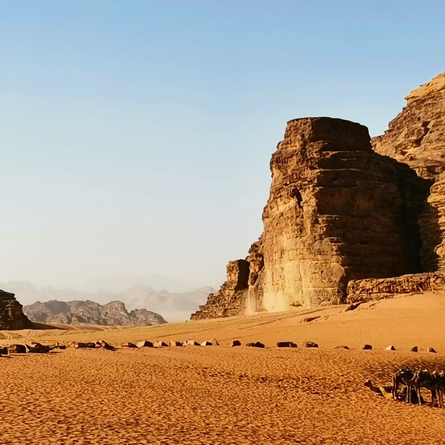 &quot;It was difficult to comprehend the vastness of the Sahara. Medina did not gradually merge into the desert; the change was abrupt and absolute. As soon as you passed through the walls of the city, you entered a world of scorched sand and searing
