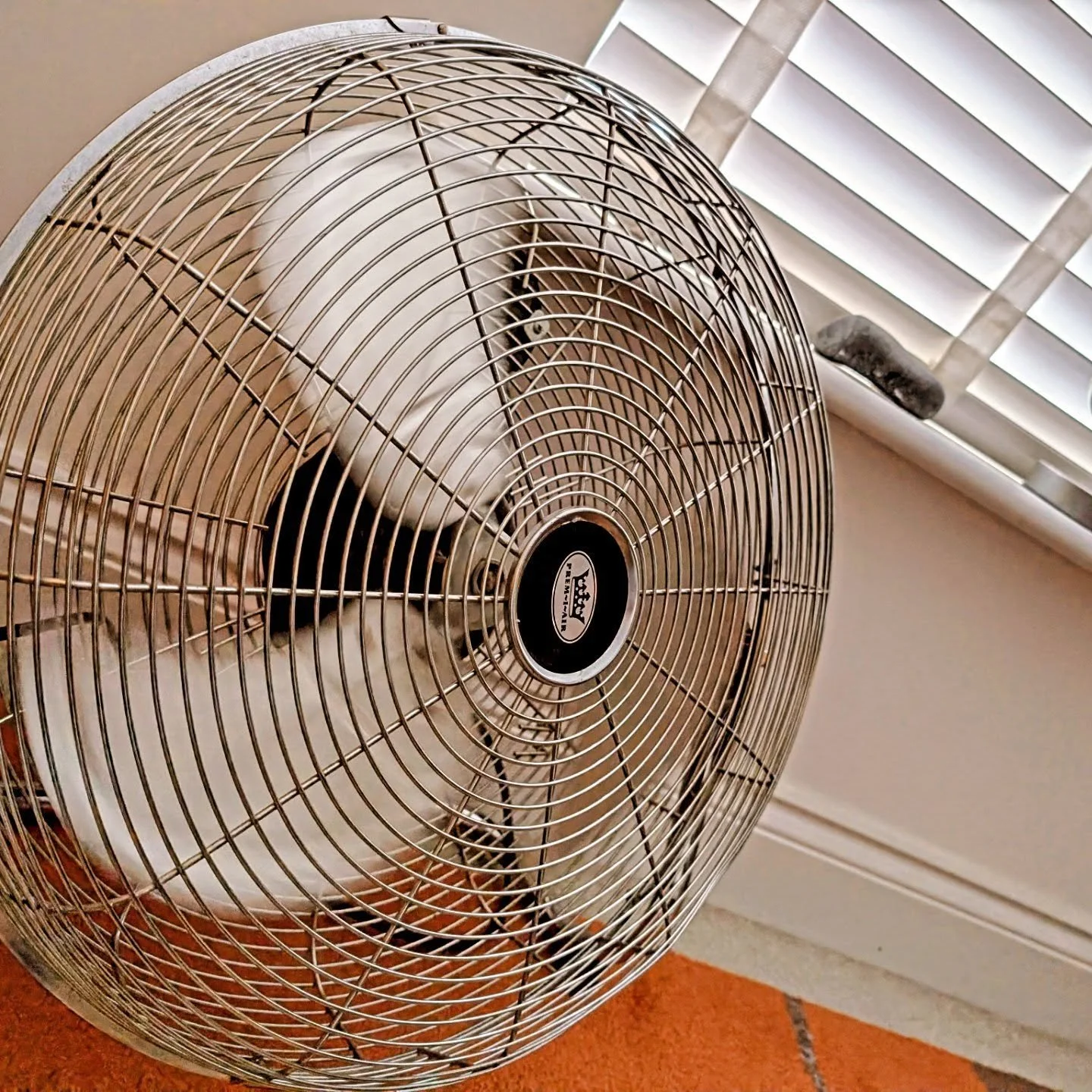 40,000 words into the first draft of Basilica Diaries book 5 ... As the thermometer passes 30C, I've finally deployed the fan! (Been stored in the garage - giant spider emerged when I turned it on!) #amwri̇ti̇ng #saperebooks #basilicadiaries #histori